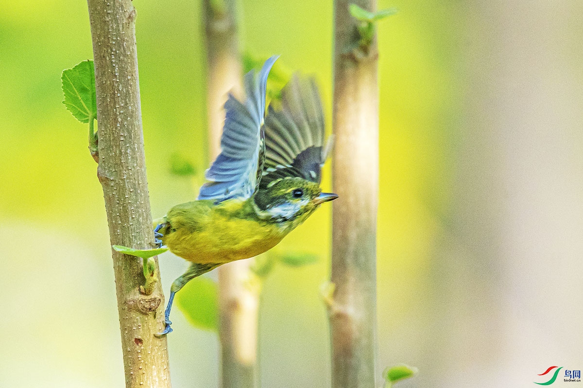 DSC_4448-����ǿ.jpg