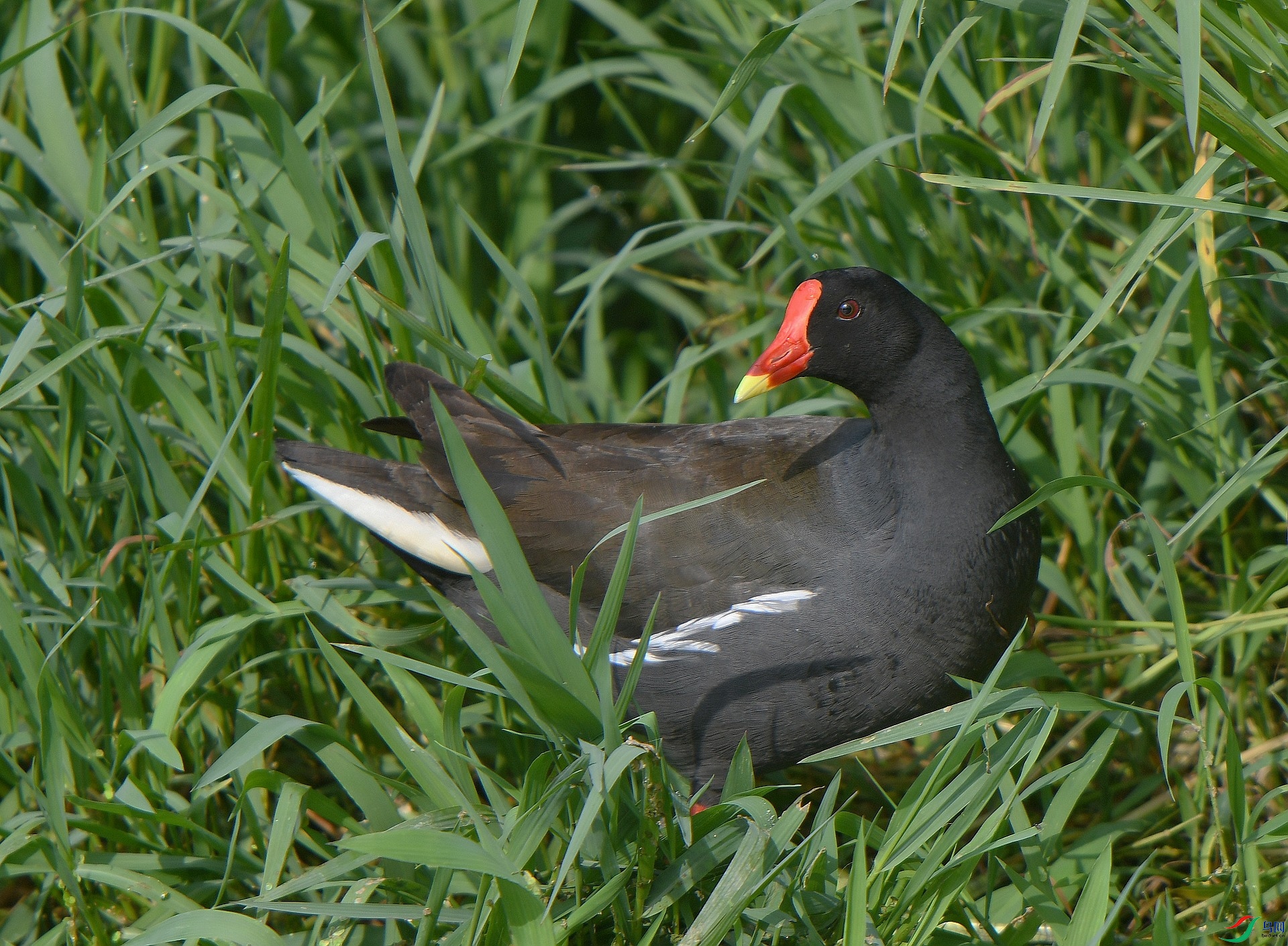 DSC_4716.jpg