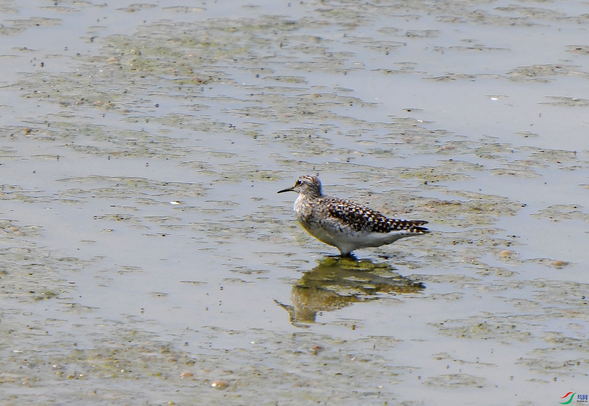 DSC_5063.jpg