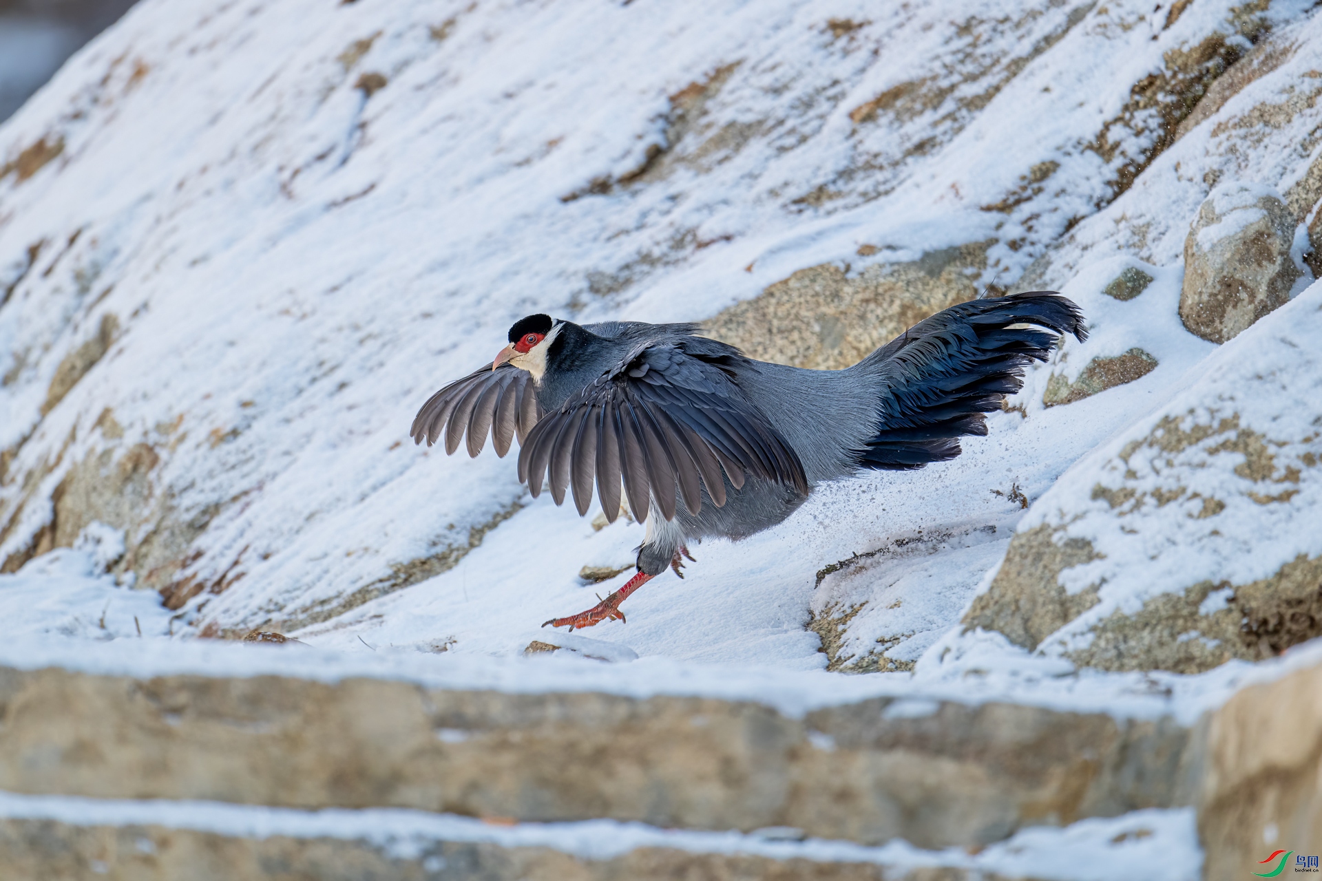 DSC_5487.jpg