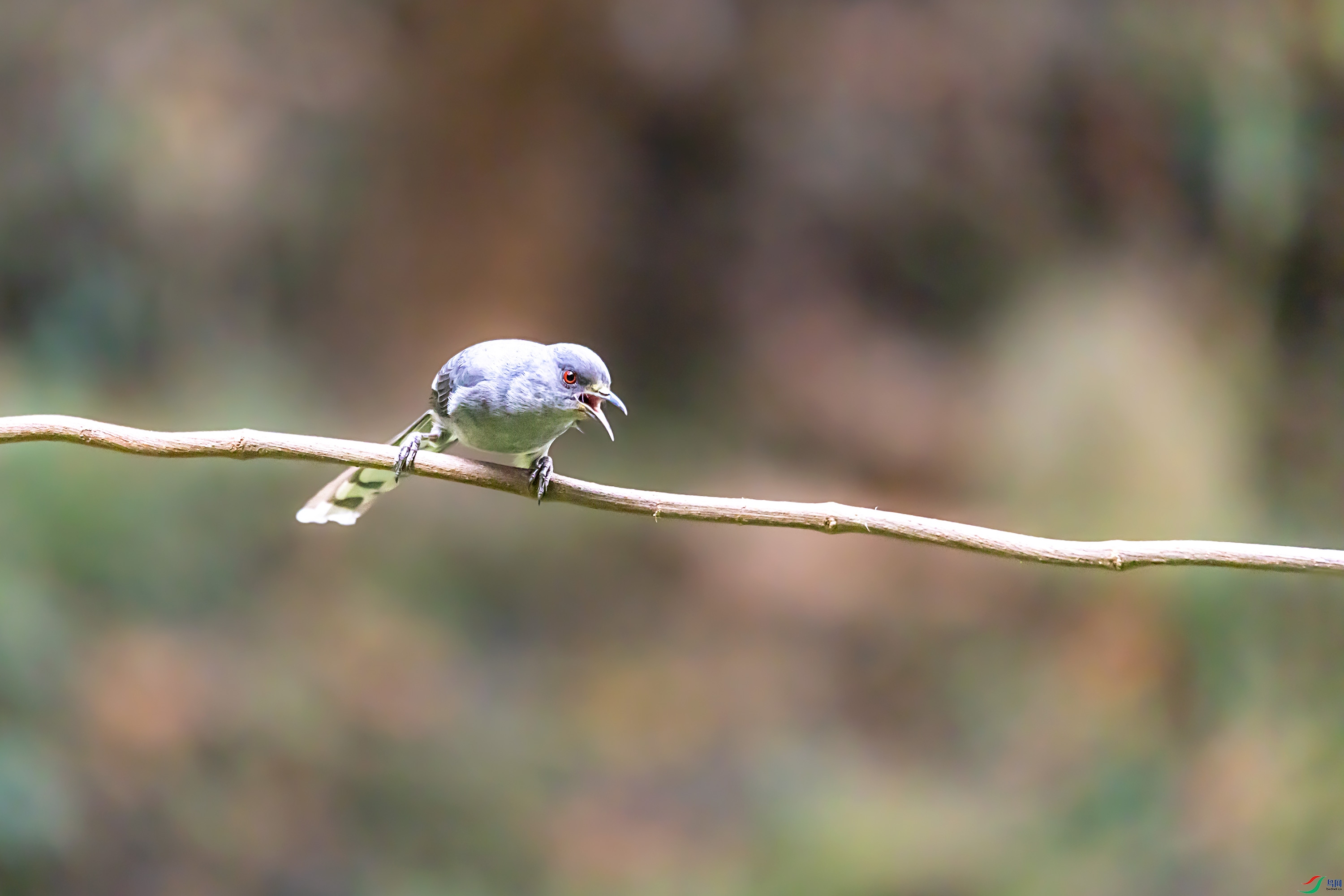 278A4615.jpg