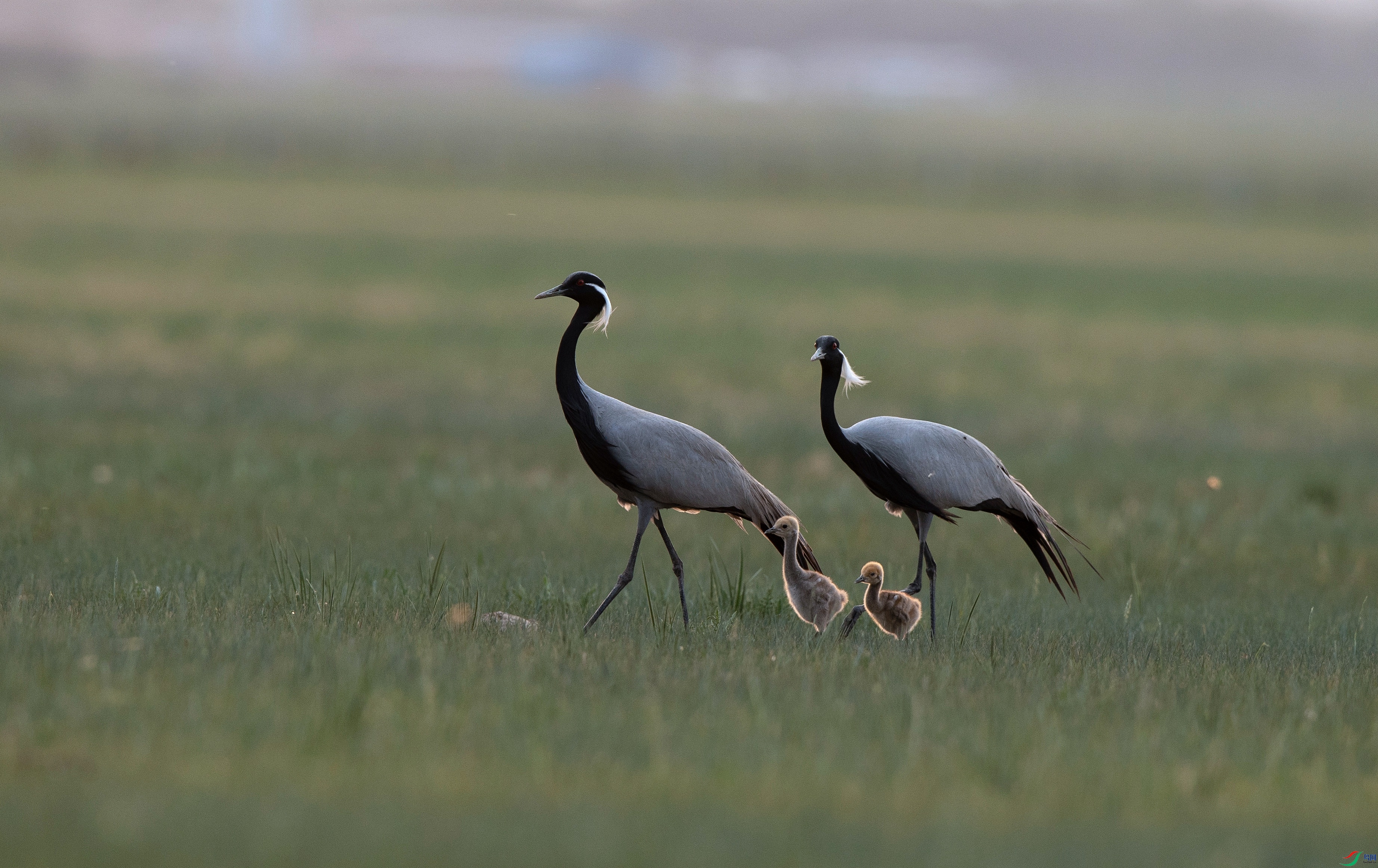 A63I0206_����.jpg