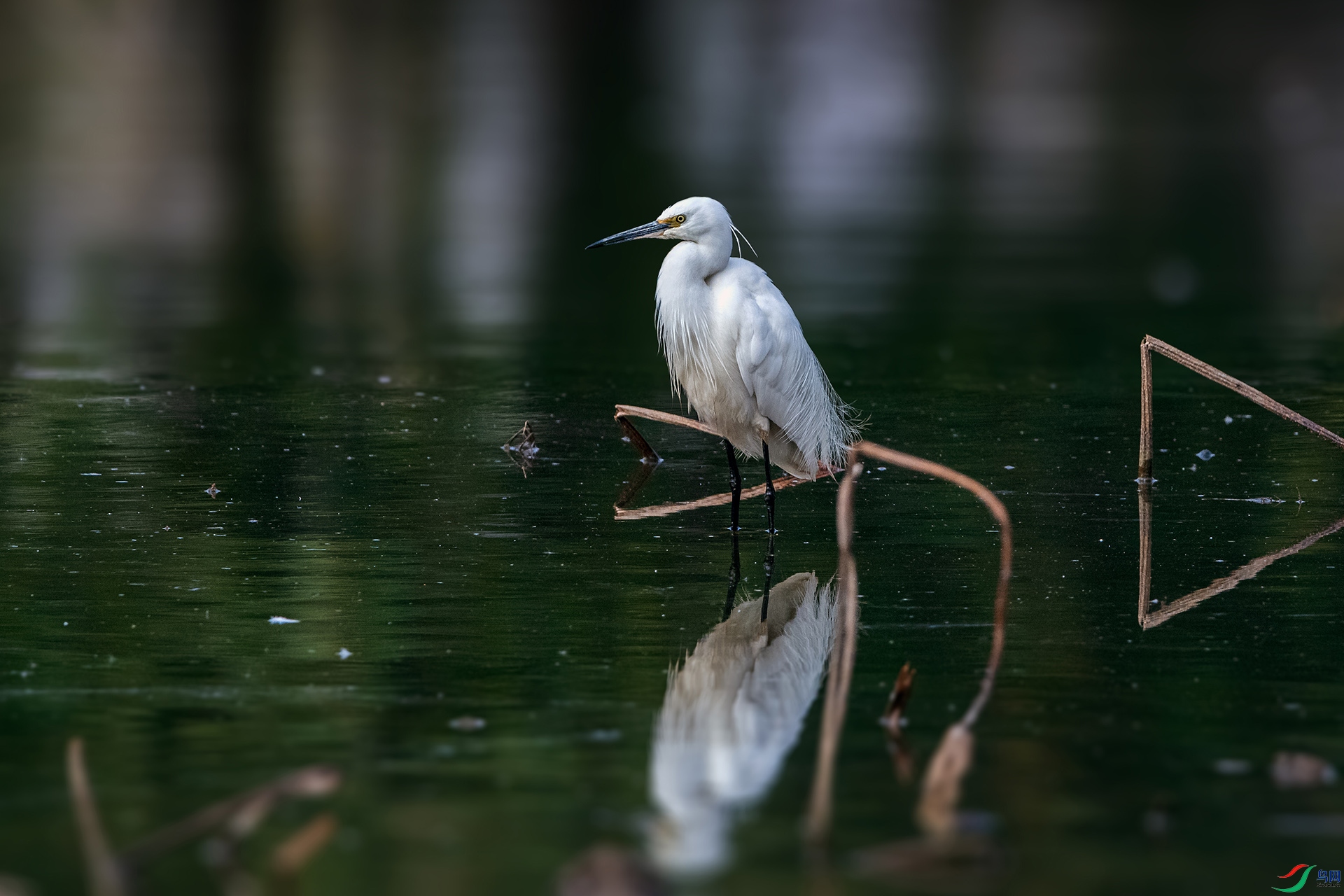 _AUU6471С����(25.2.15).jpg