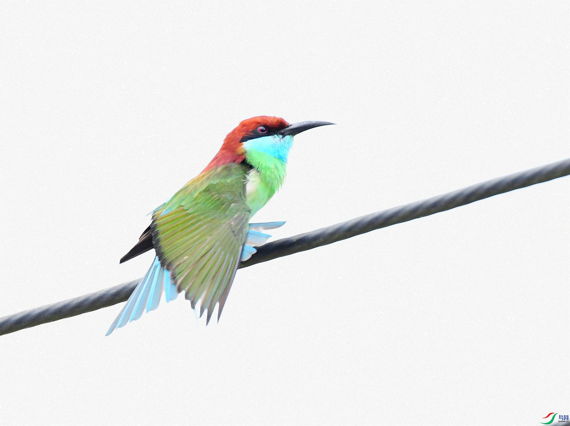DSC_8128.jpg