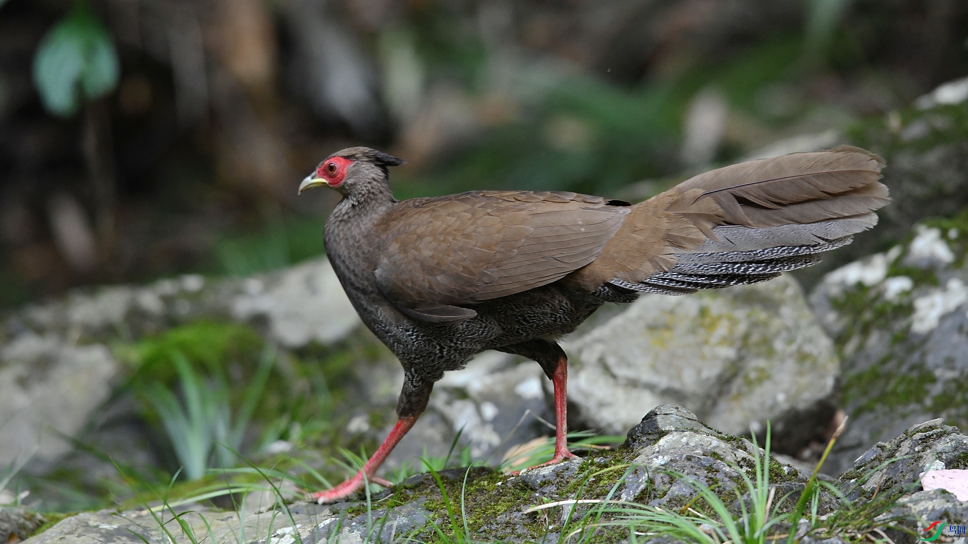 DSC_4409.jpg