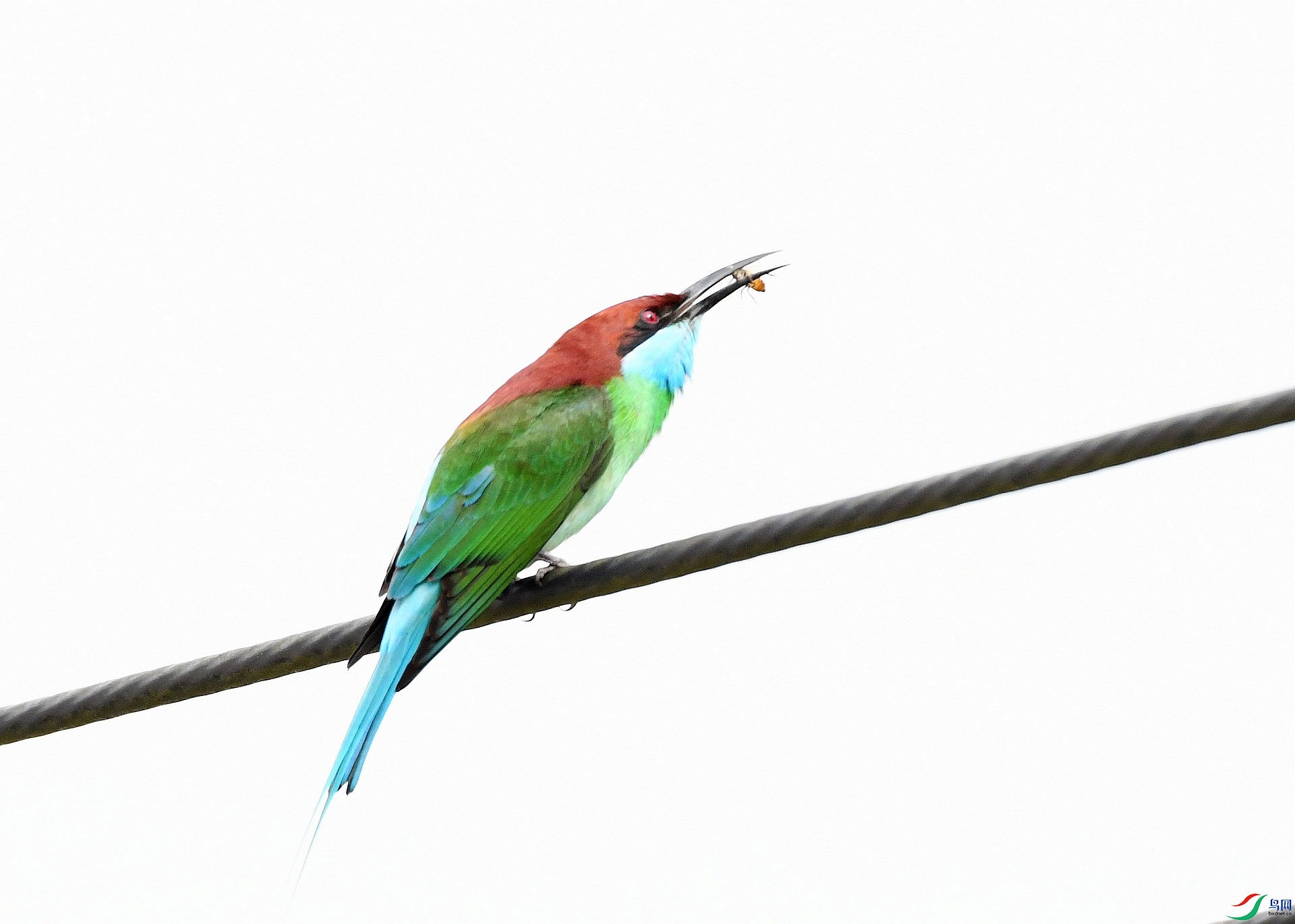 DSC_8173.jpg