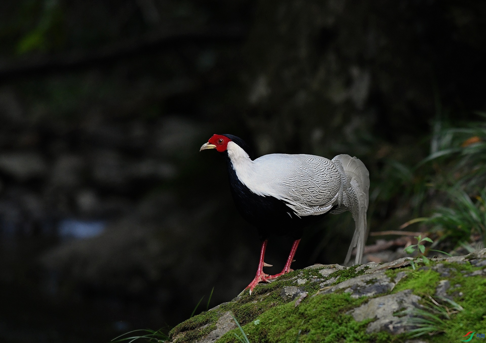 DSC_4372.jpg