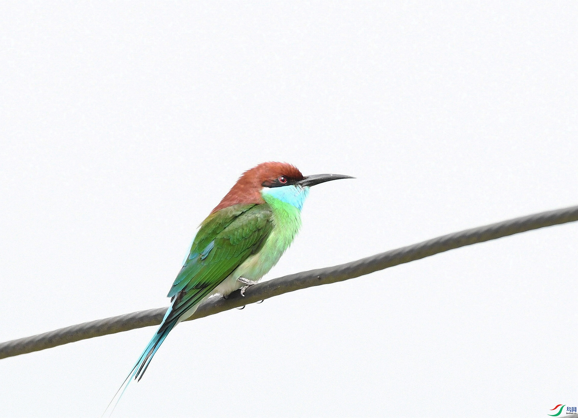 DSC_8172.jpg