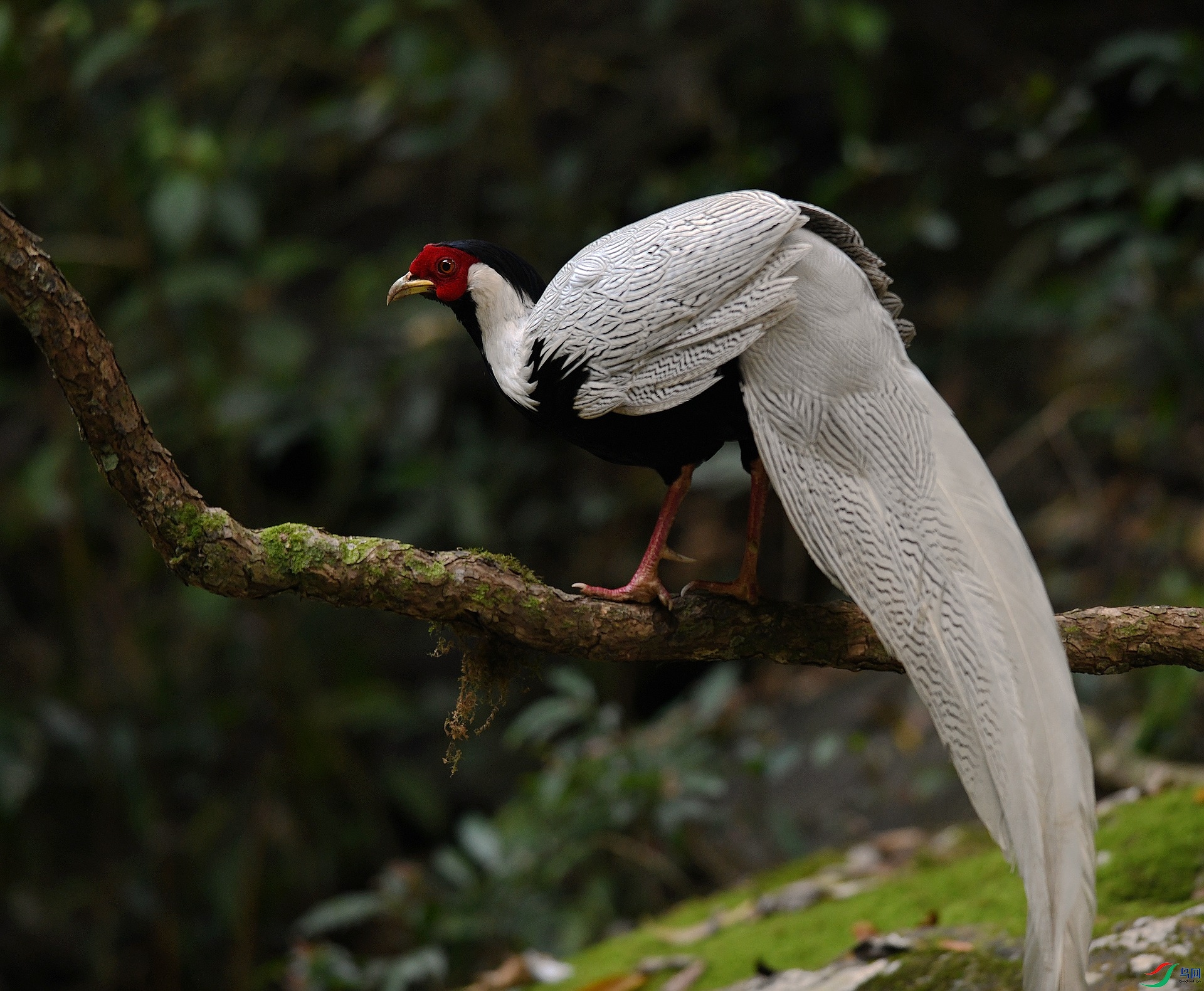 DSC_4286.jpg