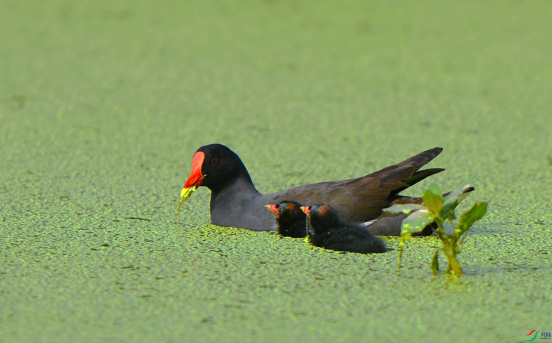 DSC_4638.jpg