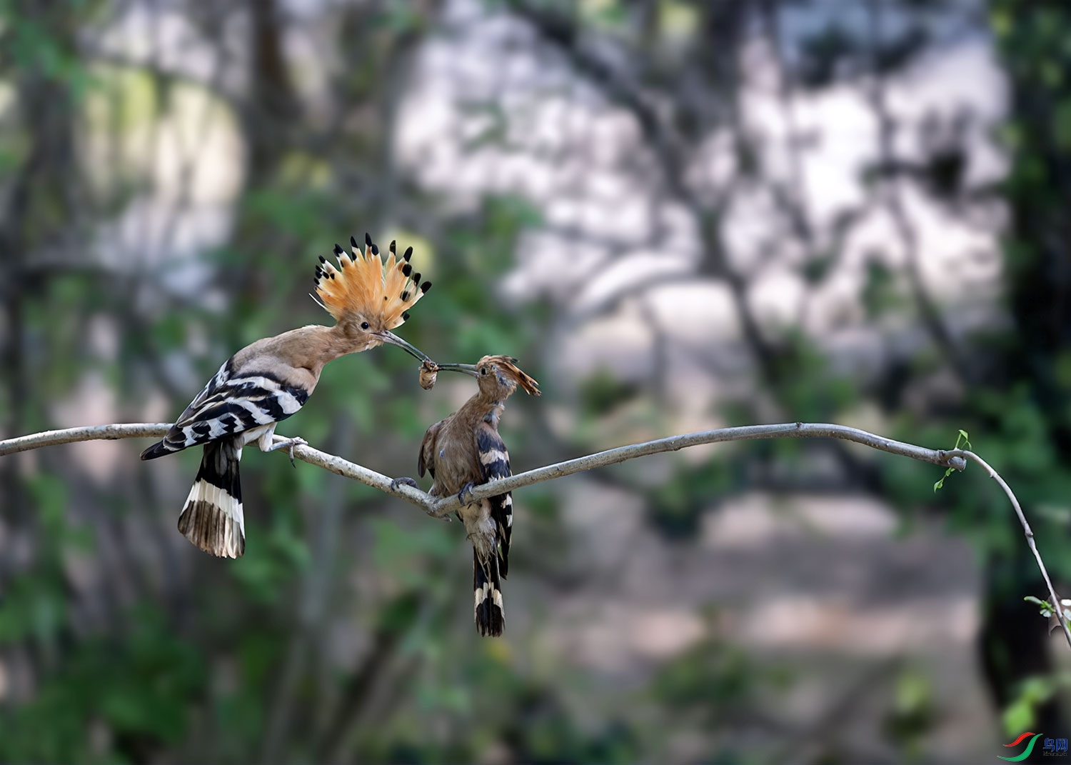DSCF1074.jpg