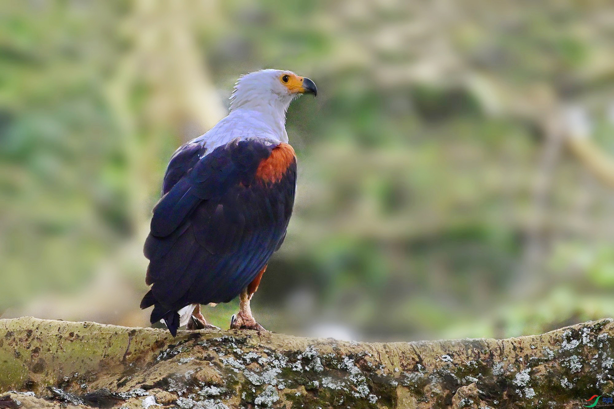 DSC_0122_.jpg