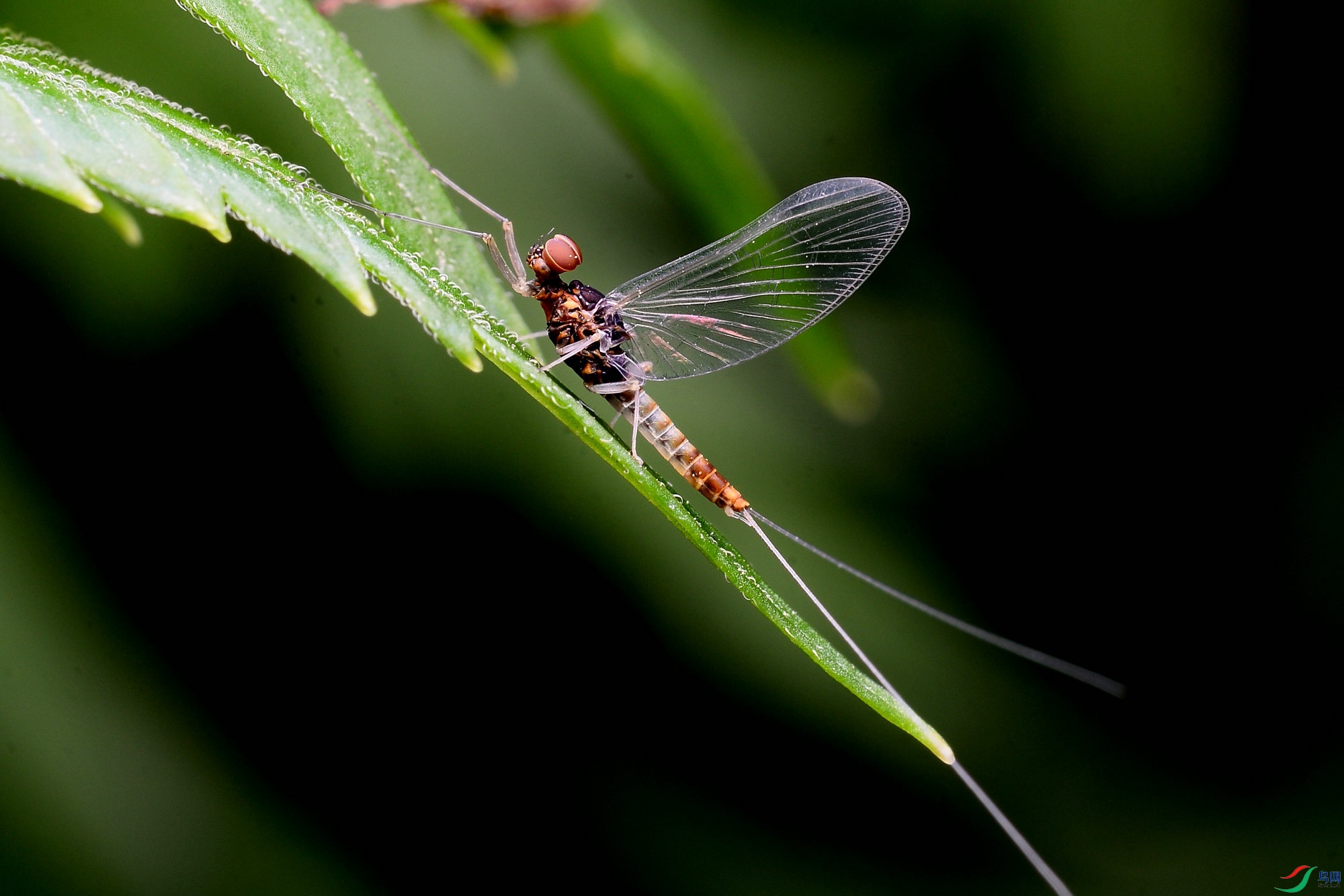 DSC_0145_����.jpg