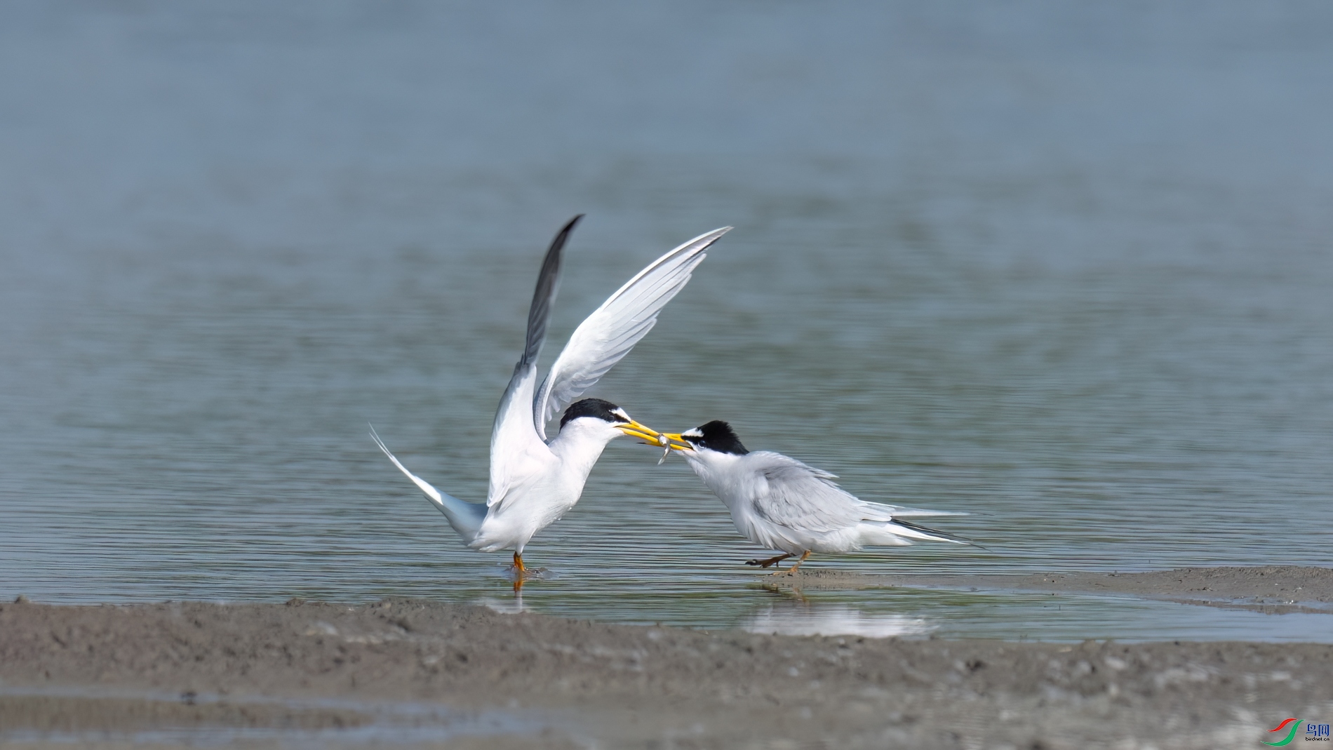 DSC_5960sen2026-4-30-110-�༭.jpg