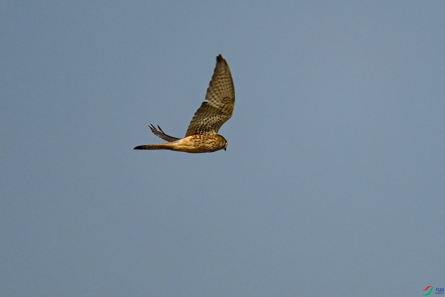 DSC_8165.JPG