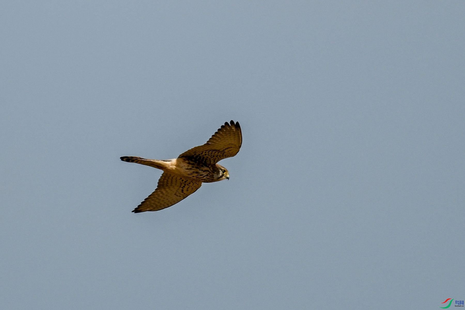 DSC_8167.JPG