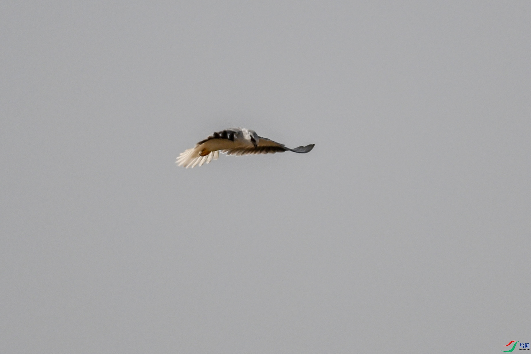 DSC_8174.JPG