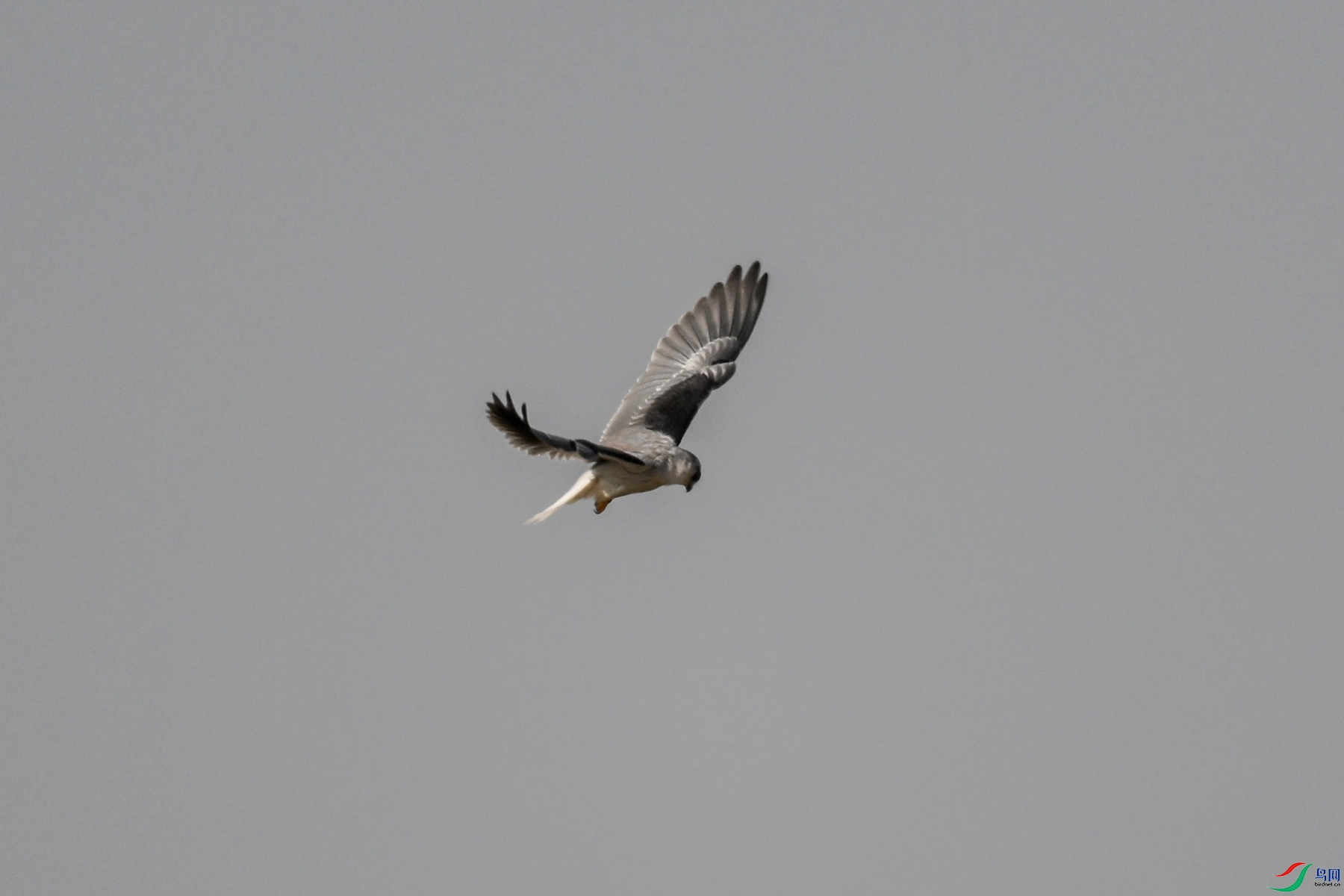 DSC_8177.JPG