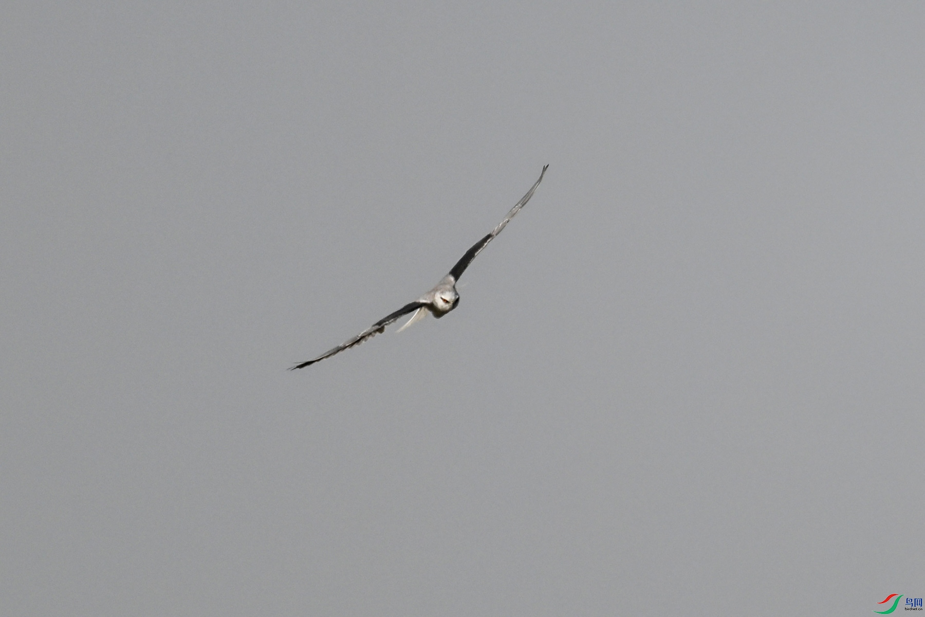 DSC_8179.JPG