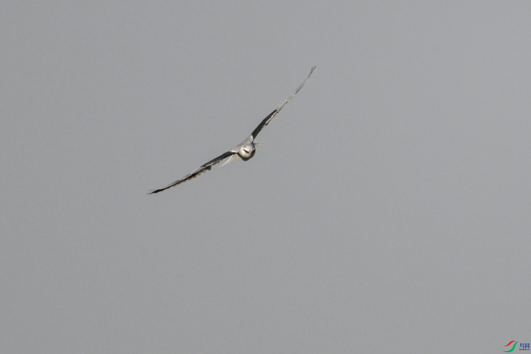 DSC_8181.JPG