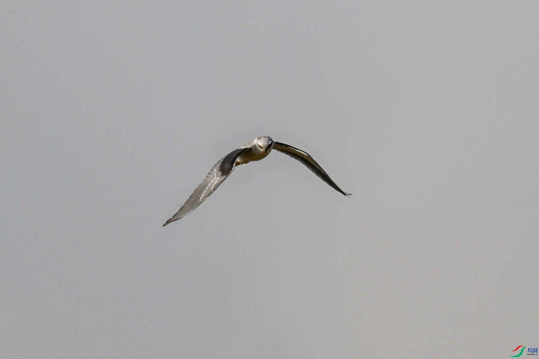 DSC_8182.JPG