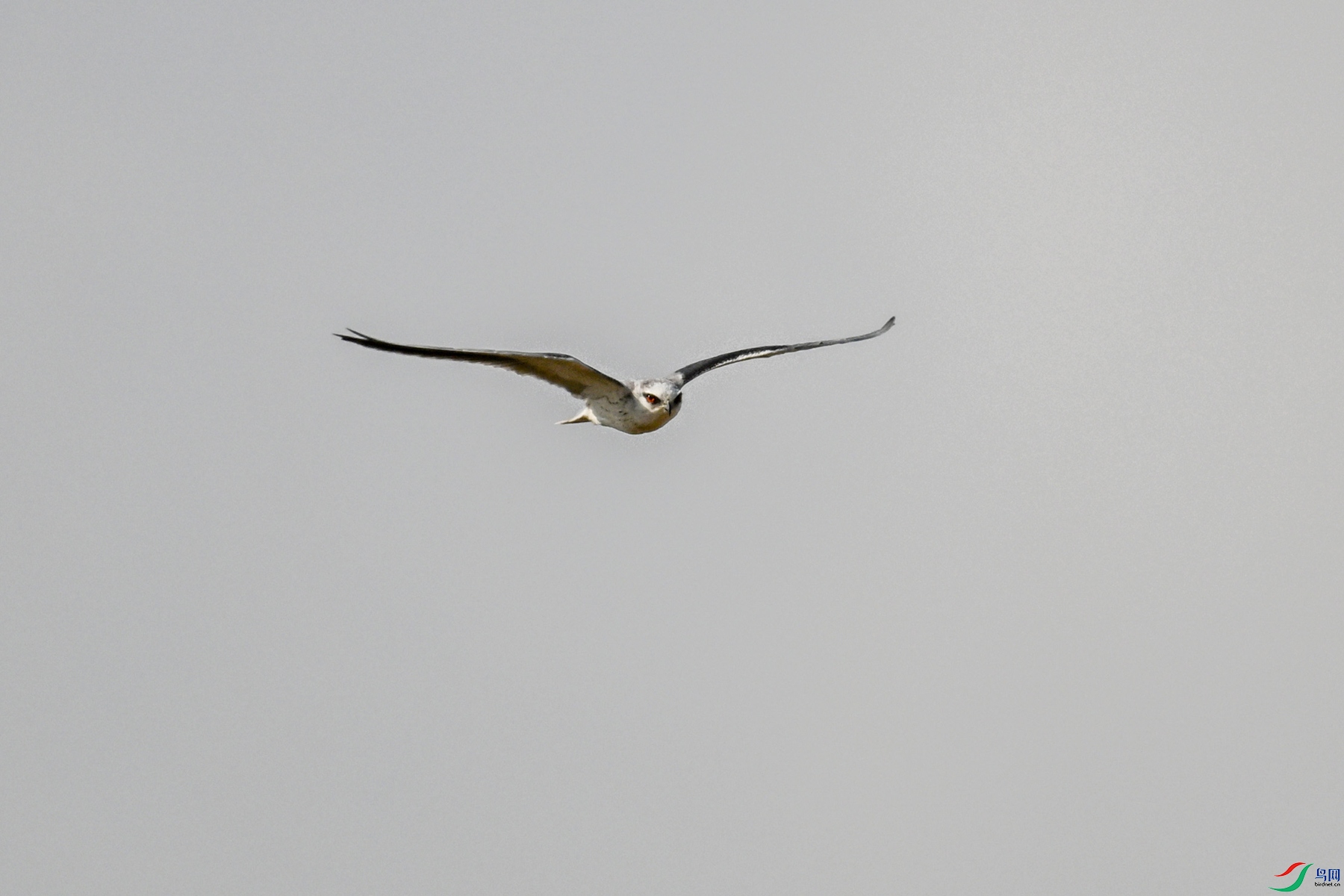 DSC_8186.JPG