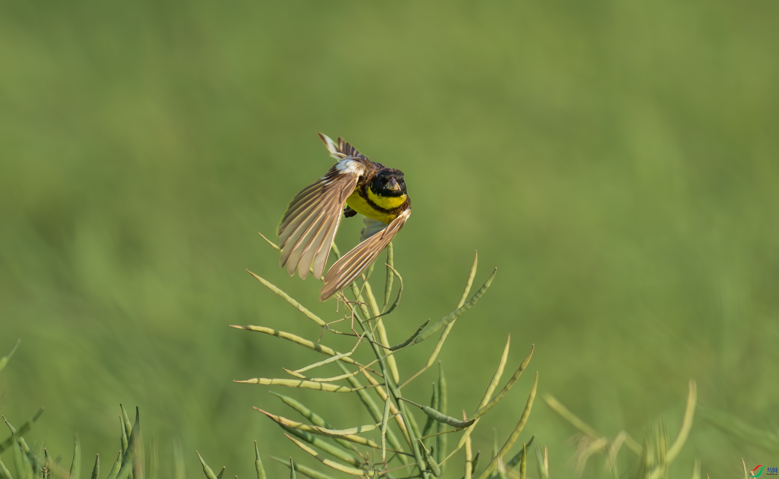 DSC_6582.jpg