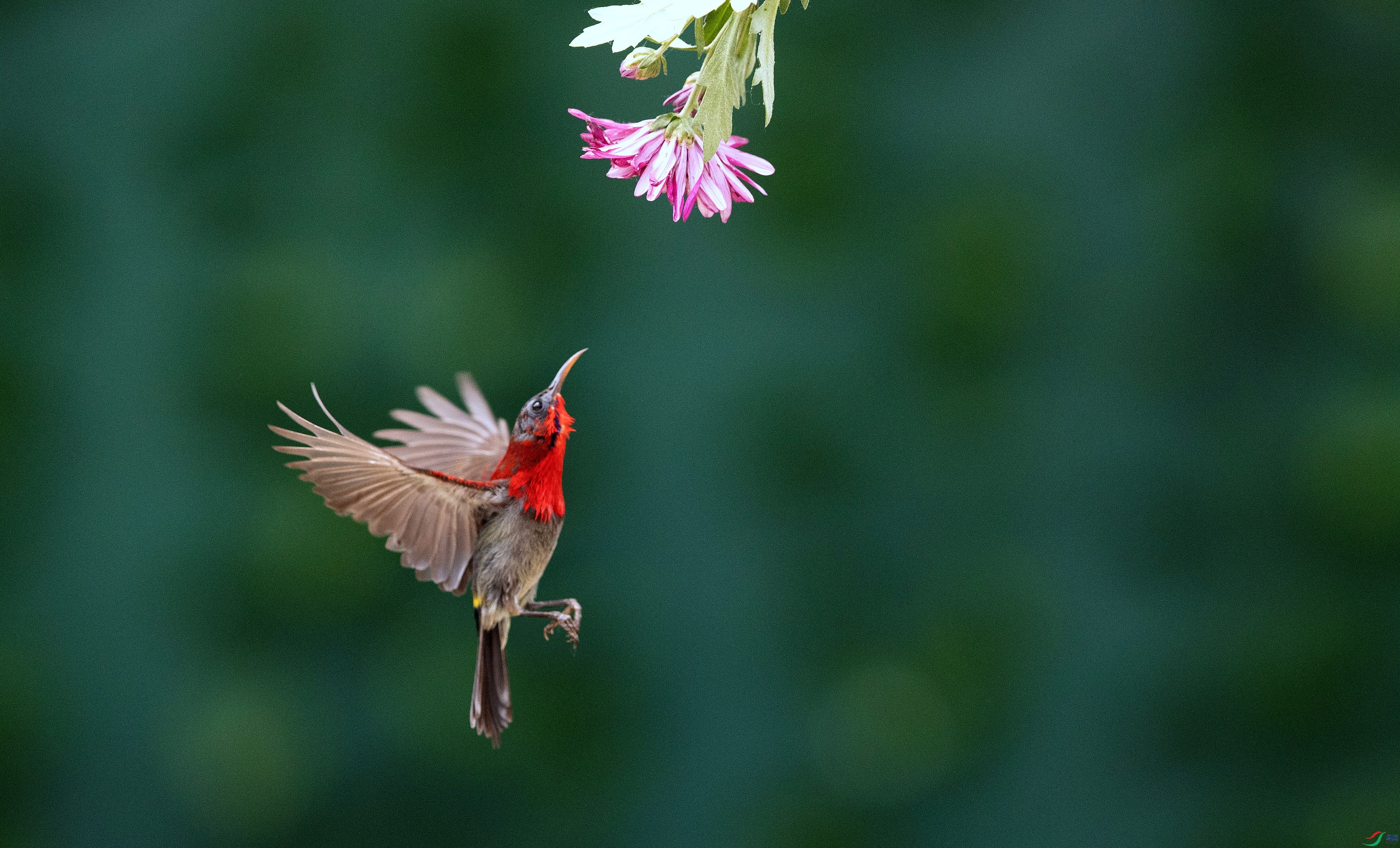 A63I6715_����.jpg