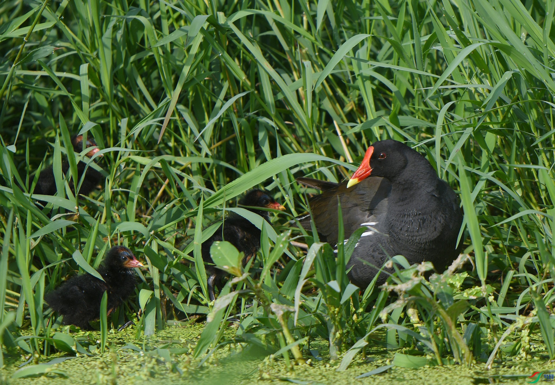 DSC_4680.jpg