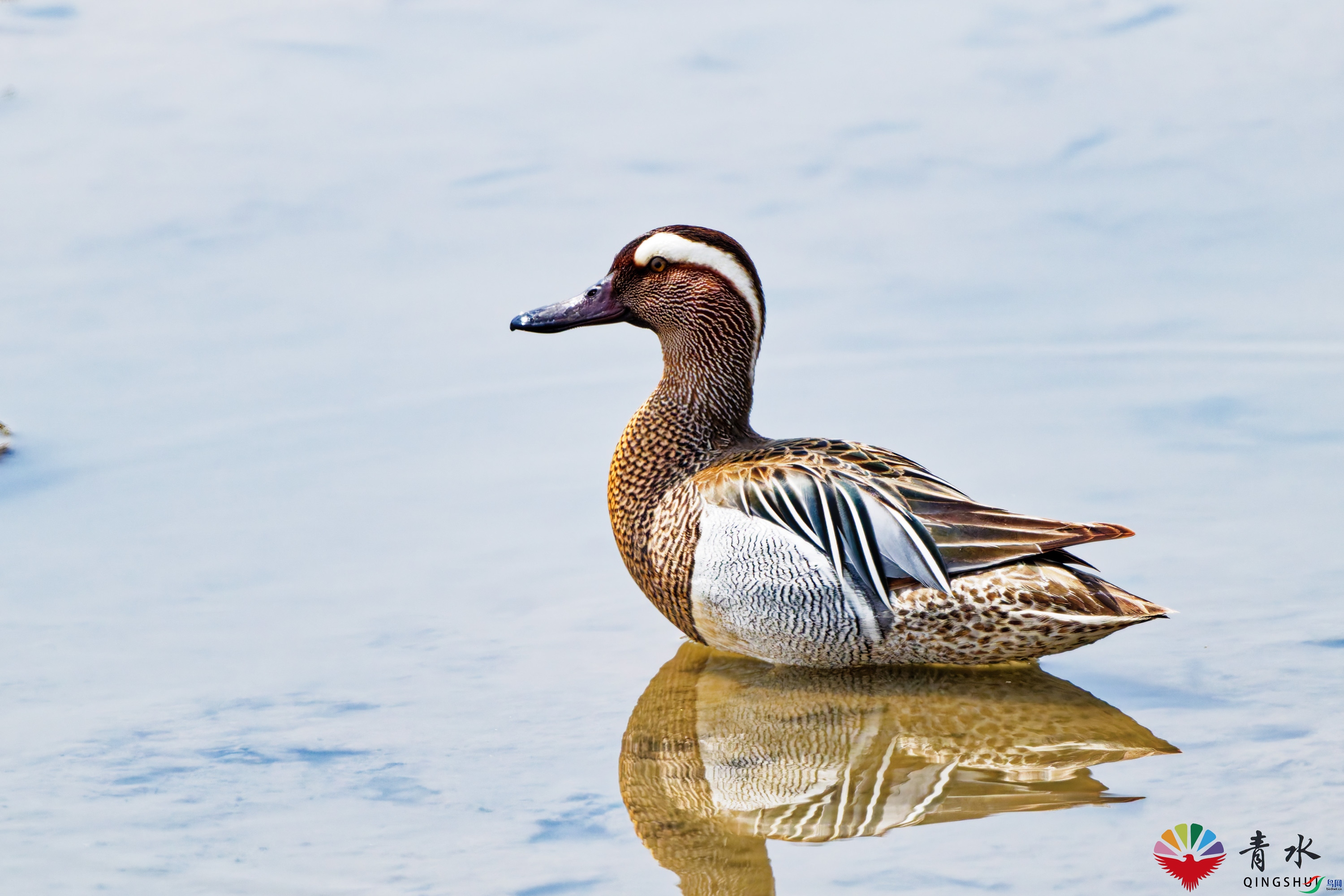 DSC_8883_DxO.jpg