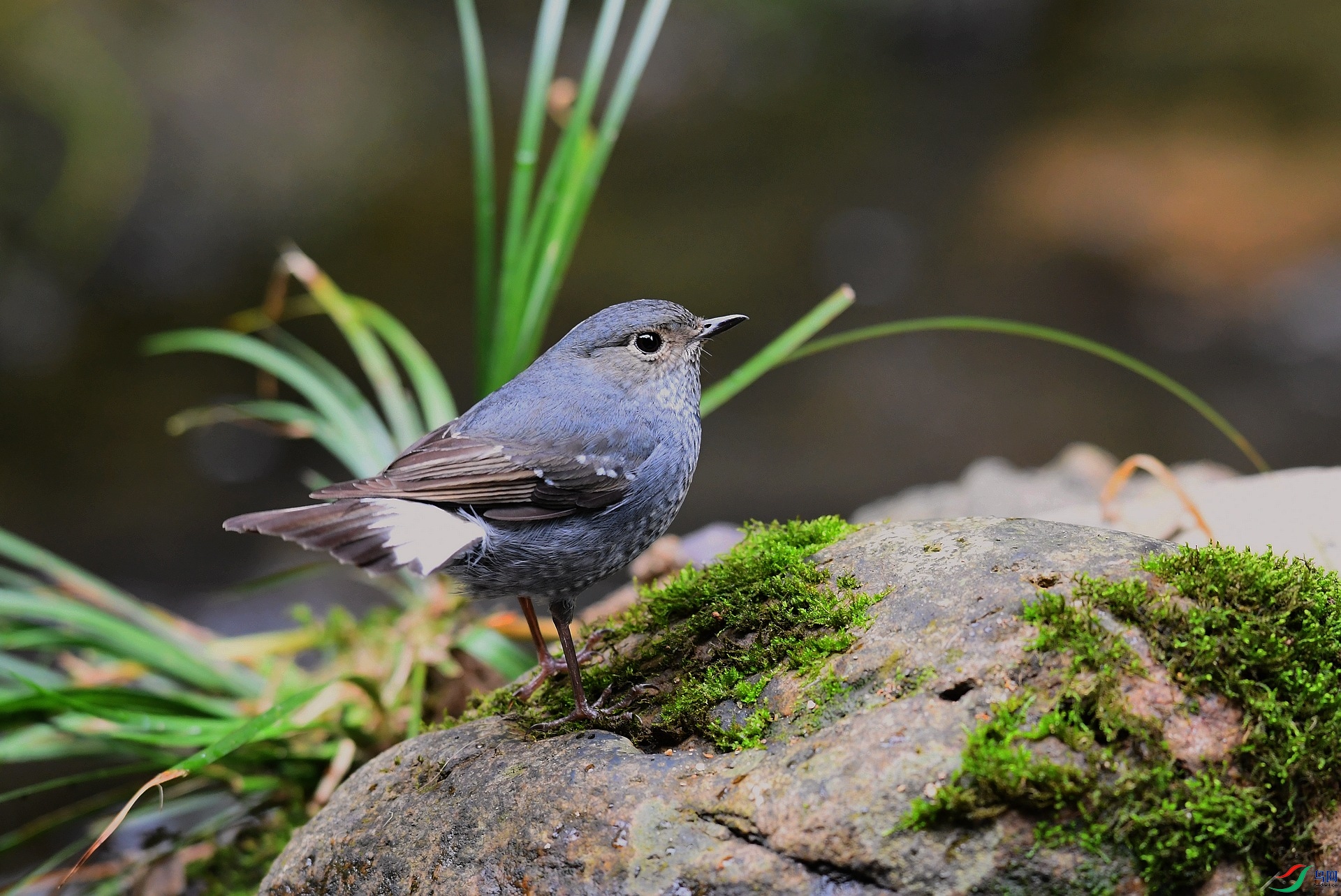 DSC_5374.jpg