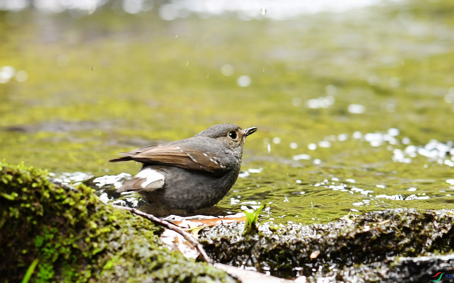 DSC_5427.jpg