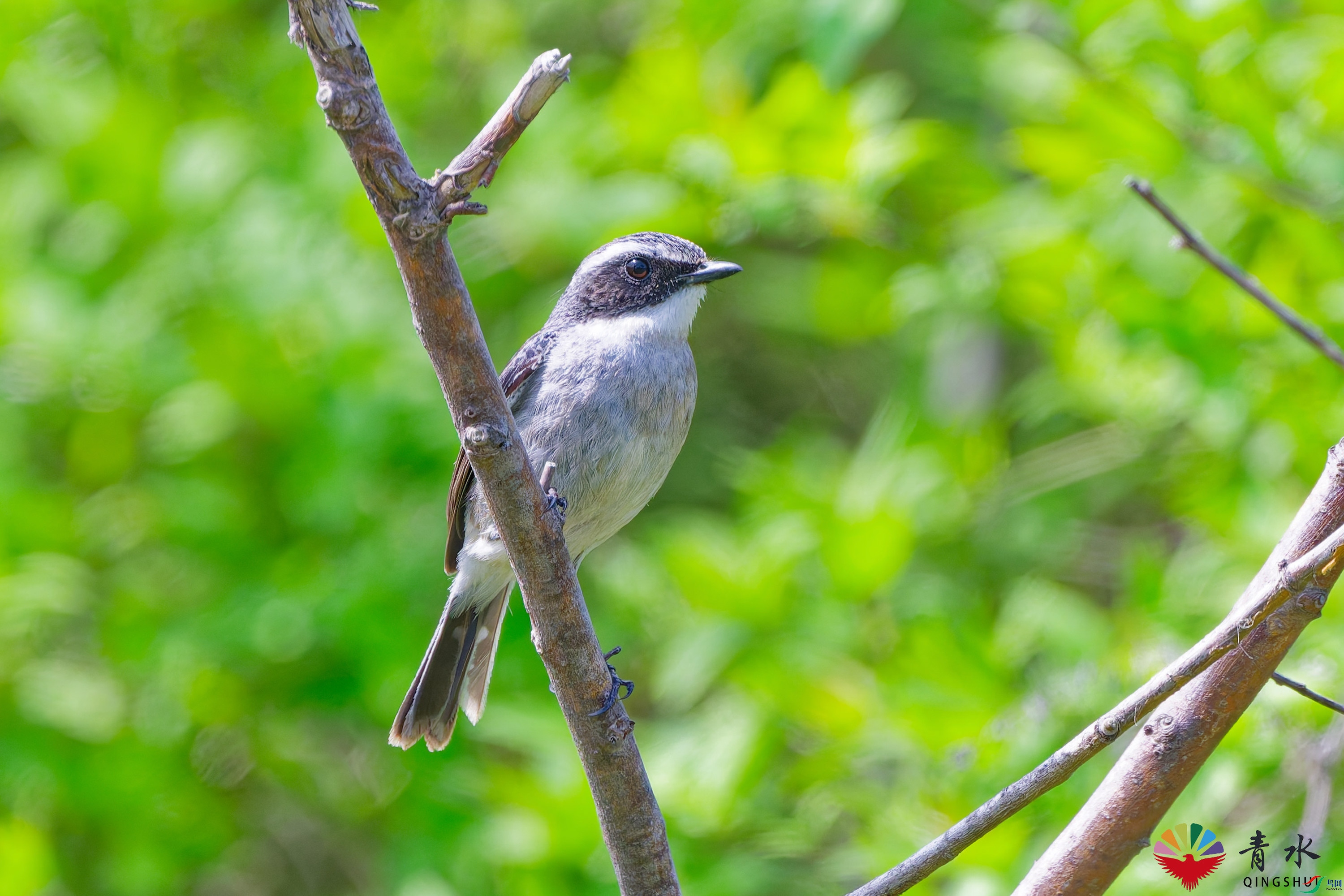 DSC_4783_DxO.jpg