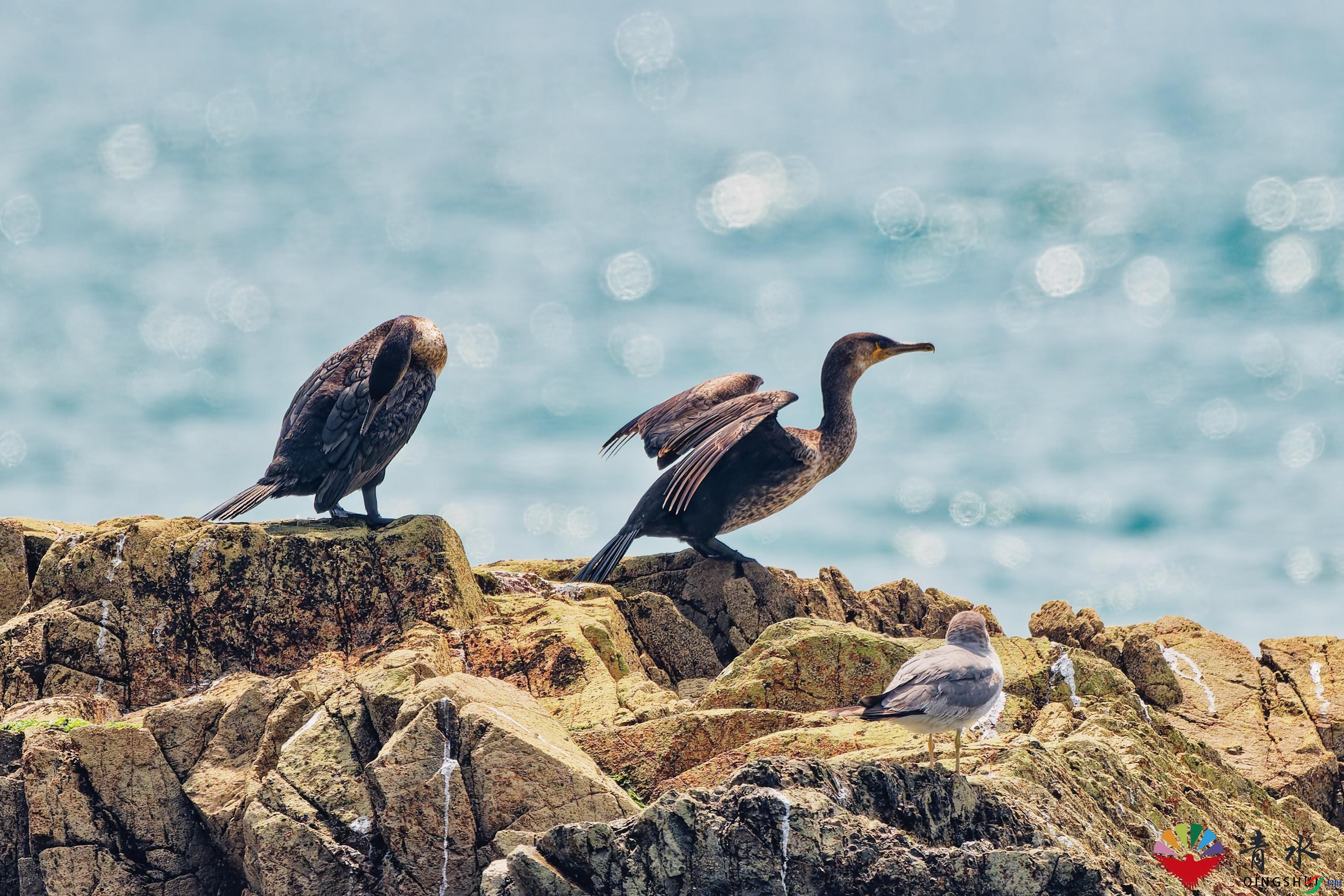 DSC_5687_DxO.jpg