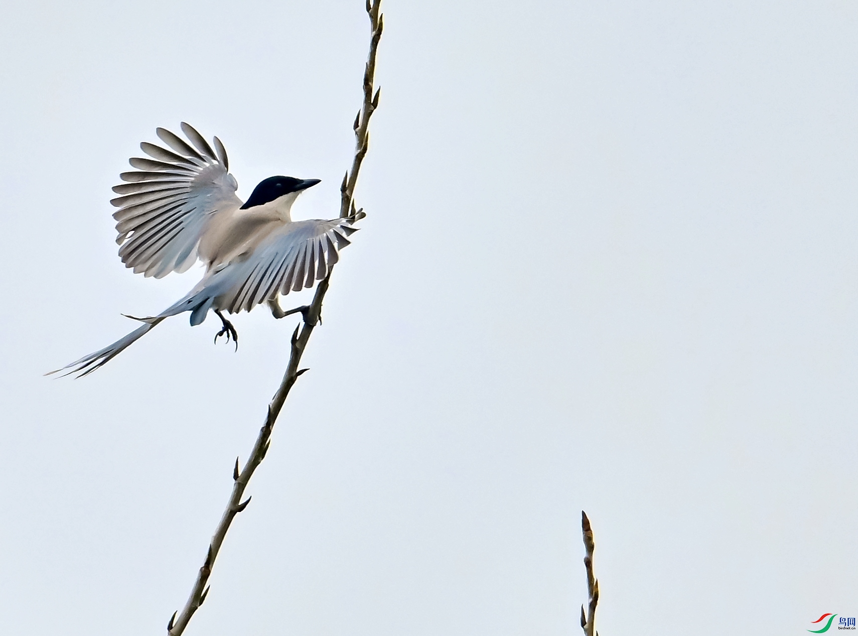 DSC_7566---_conew1.jpg
