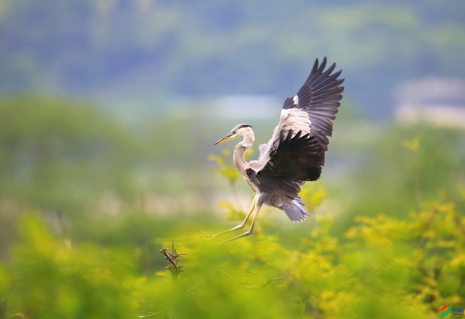 CB9V1252������.JPG