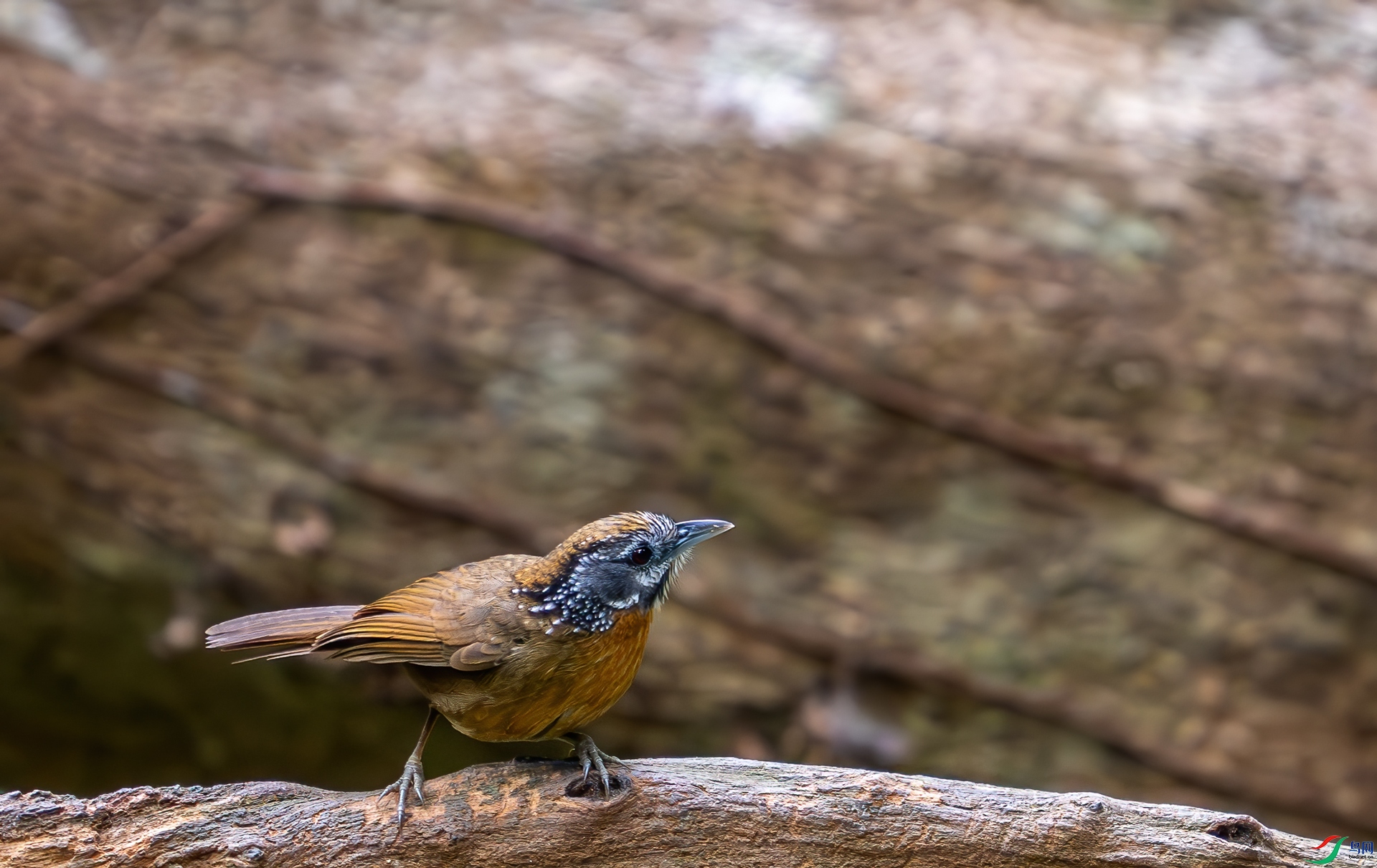 DSC_5490.jpg