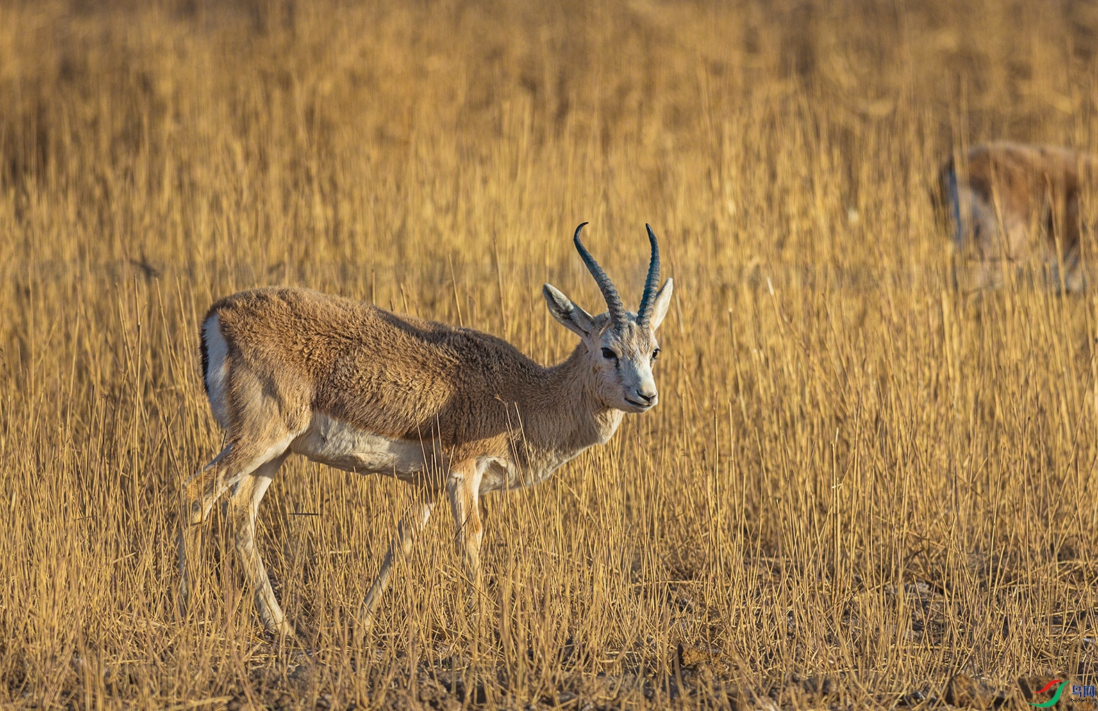 066A9474.jpg