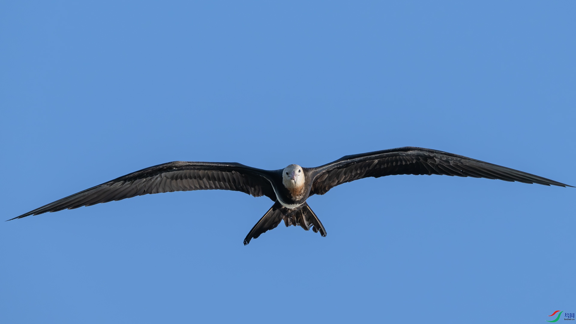DSC_9632-1.jpg