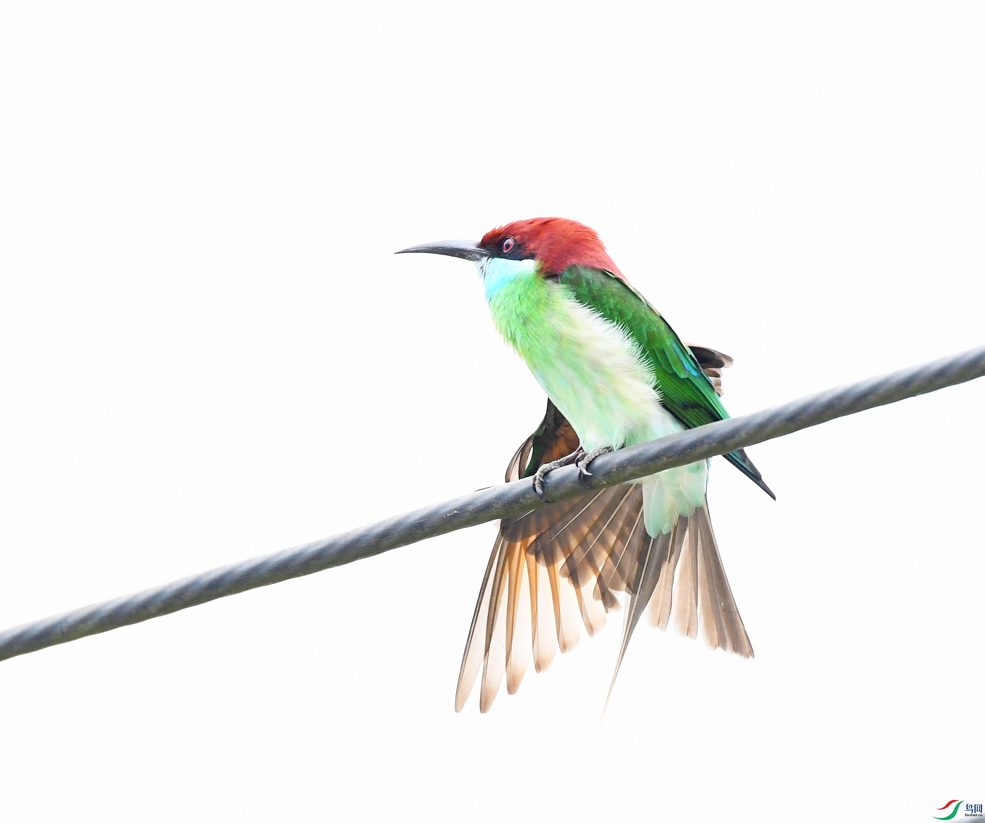 DSC_7961.jpg