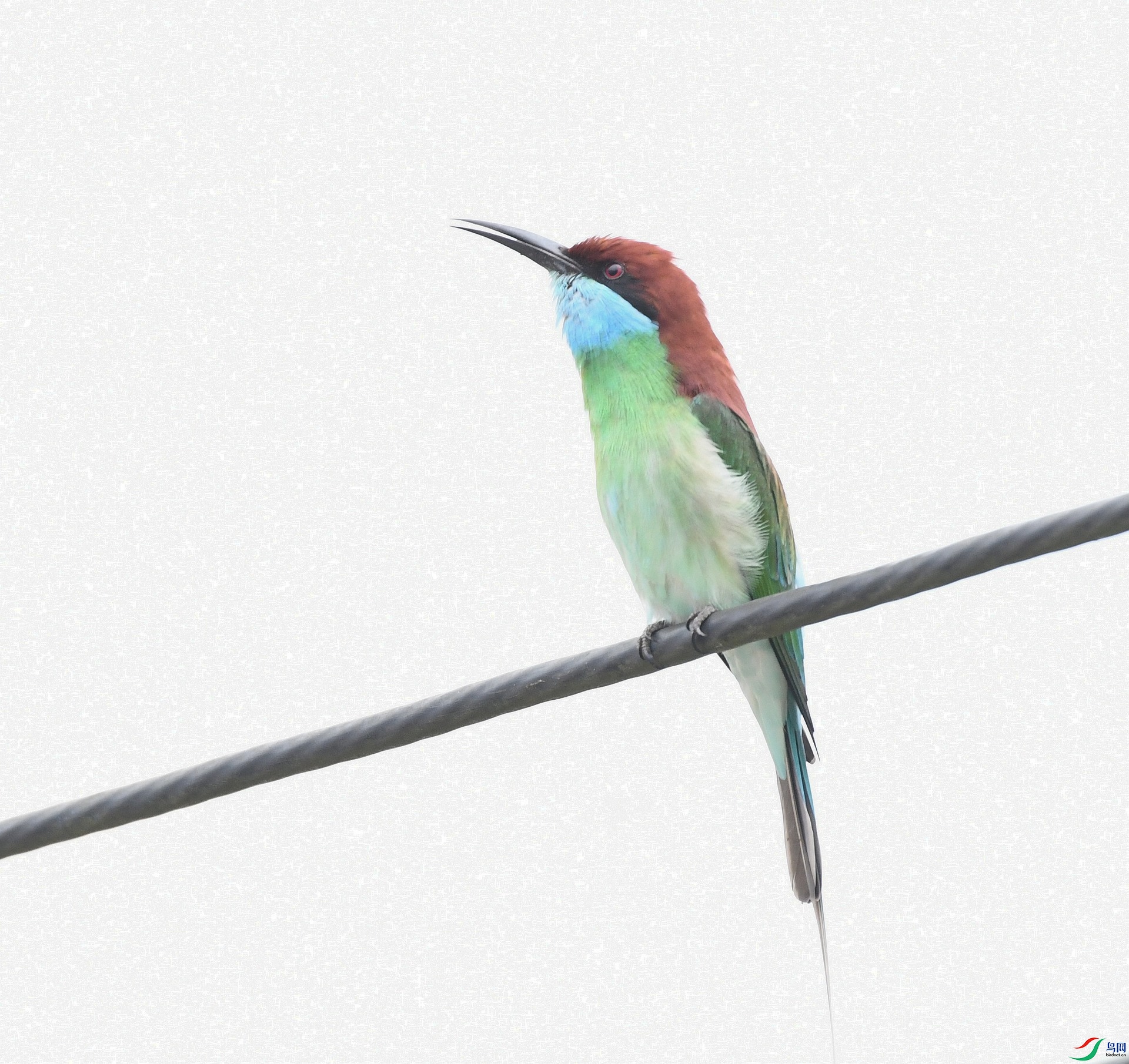 DSC_7949.jpg