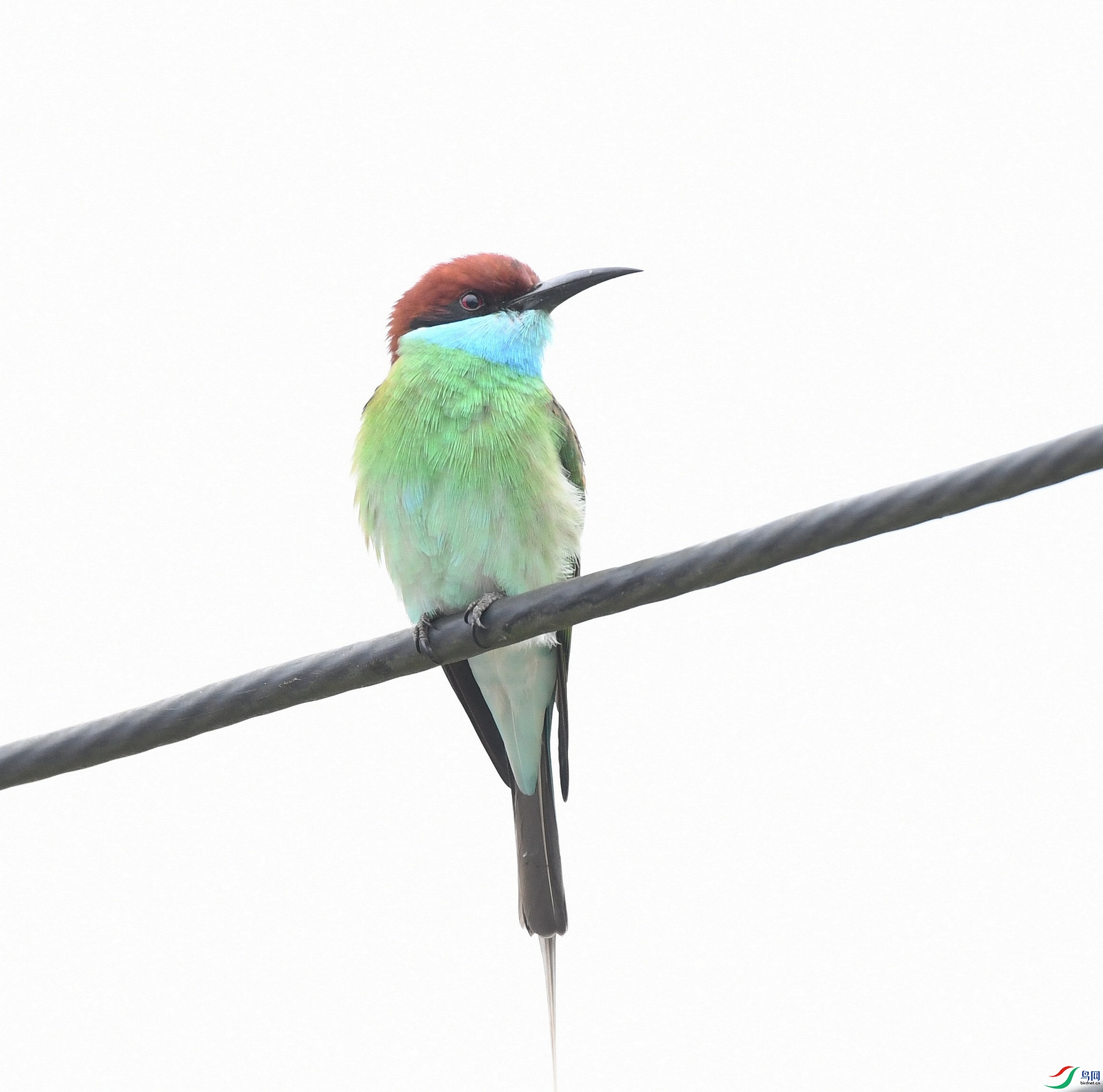 DSC_7927.jpg