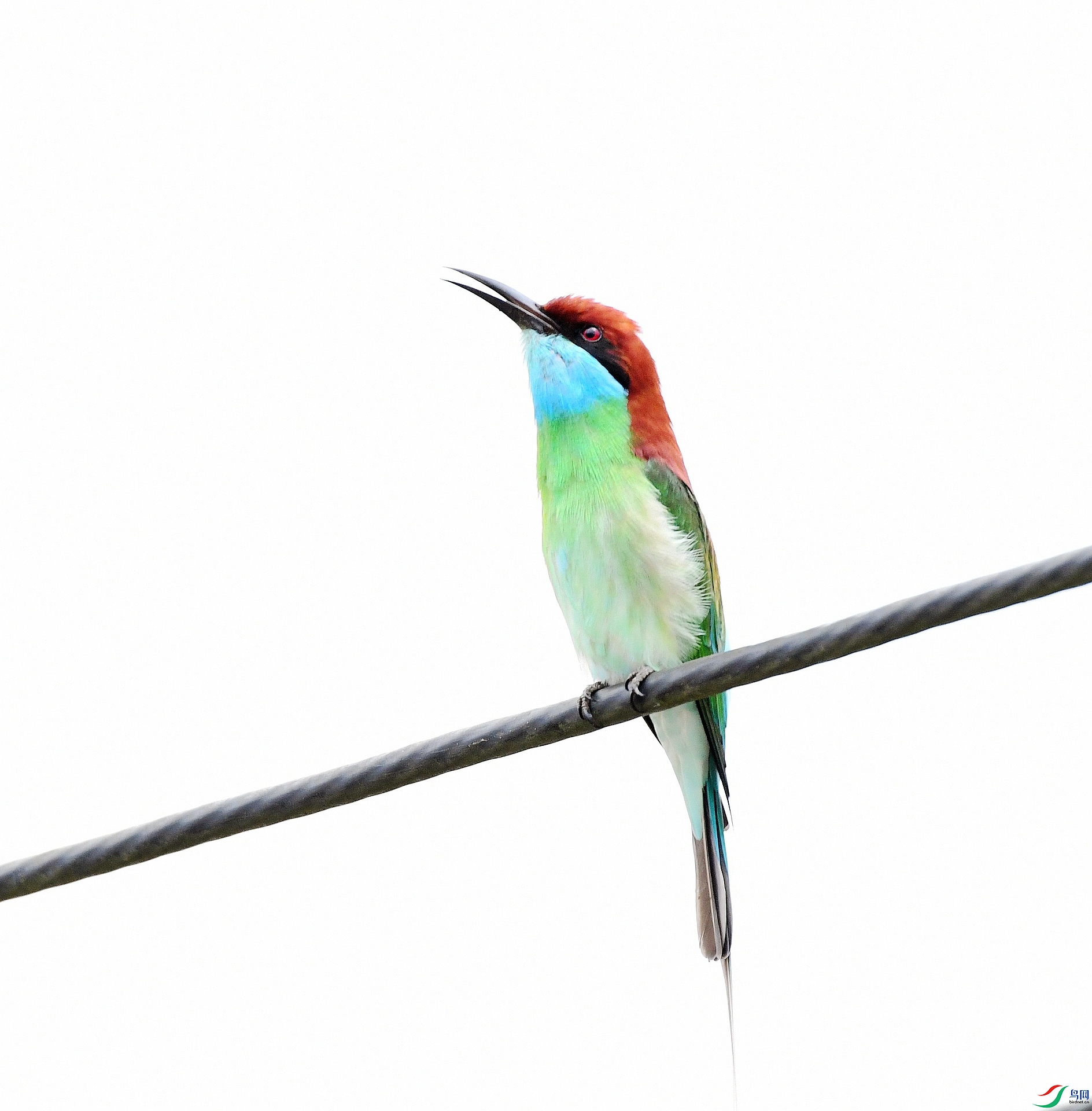 DSC_7953.jpg