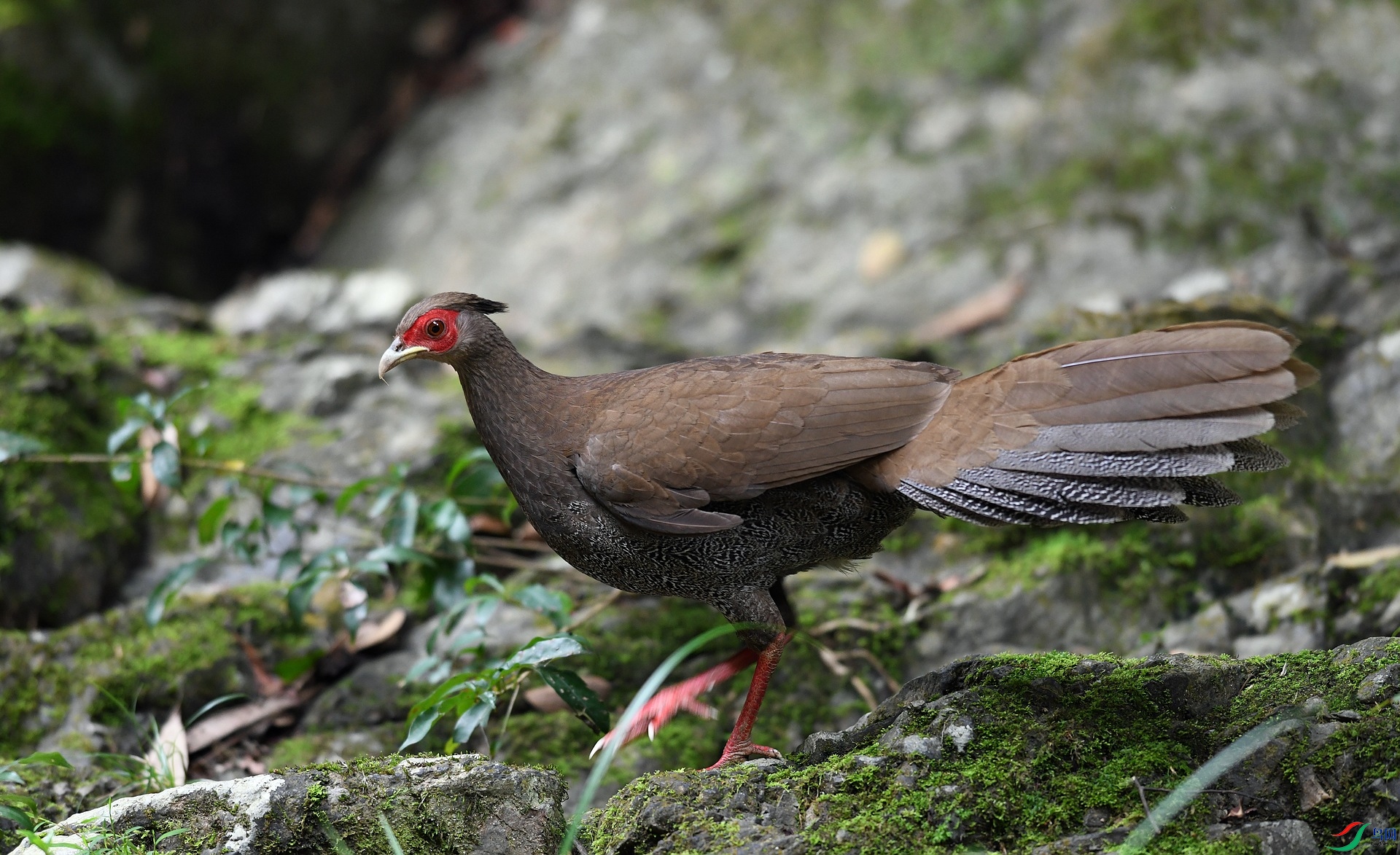 DSC_7743.jpg