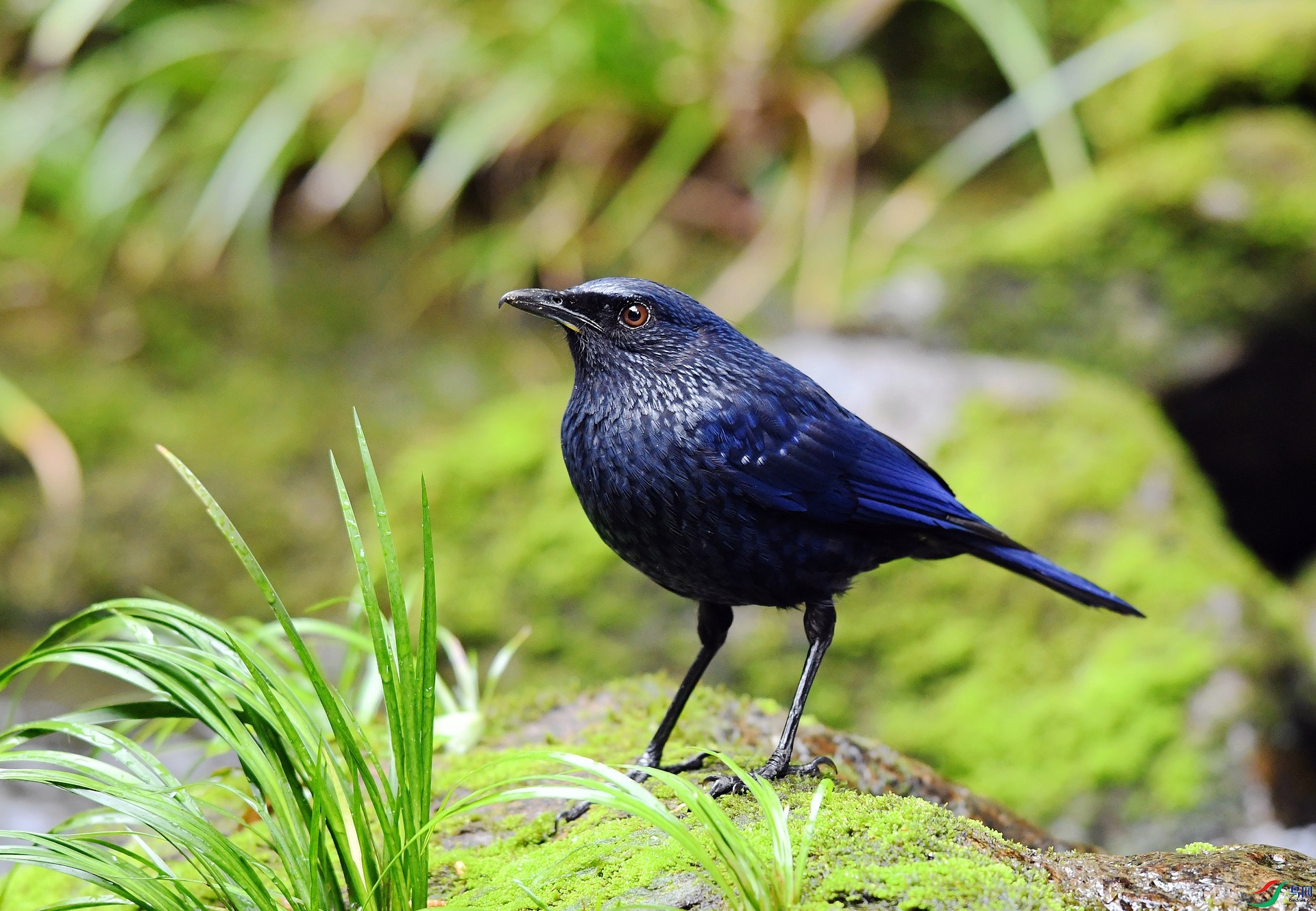 DSC_7836.jpg