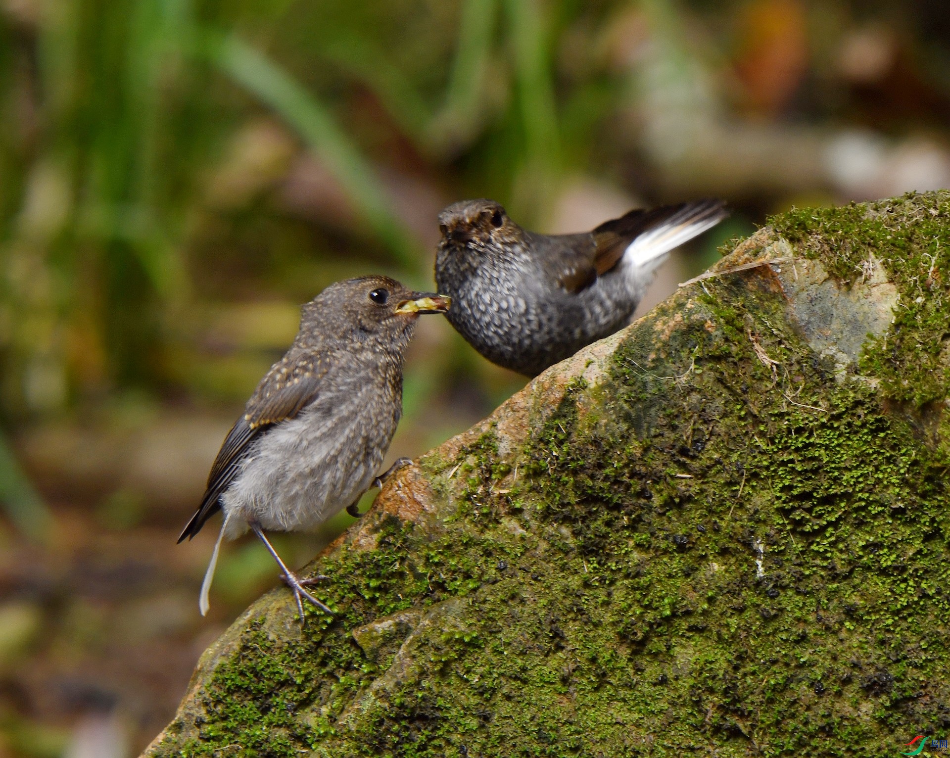 DSC_7605.jpg