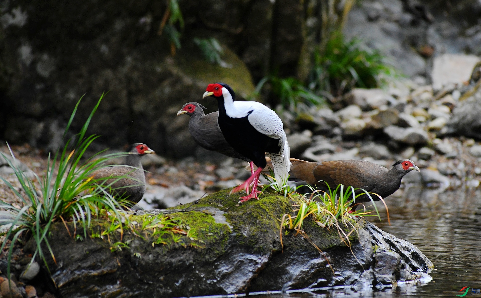 DSC_9730.jpg