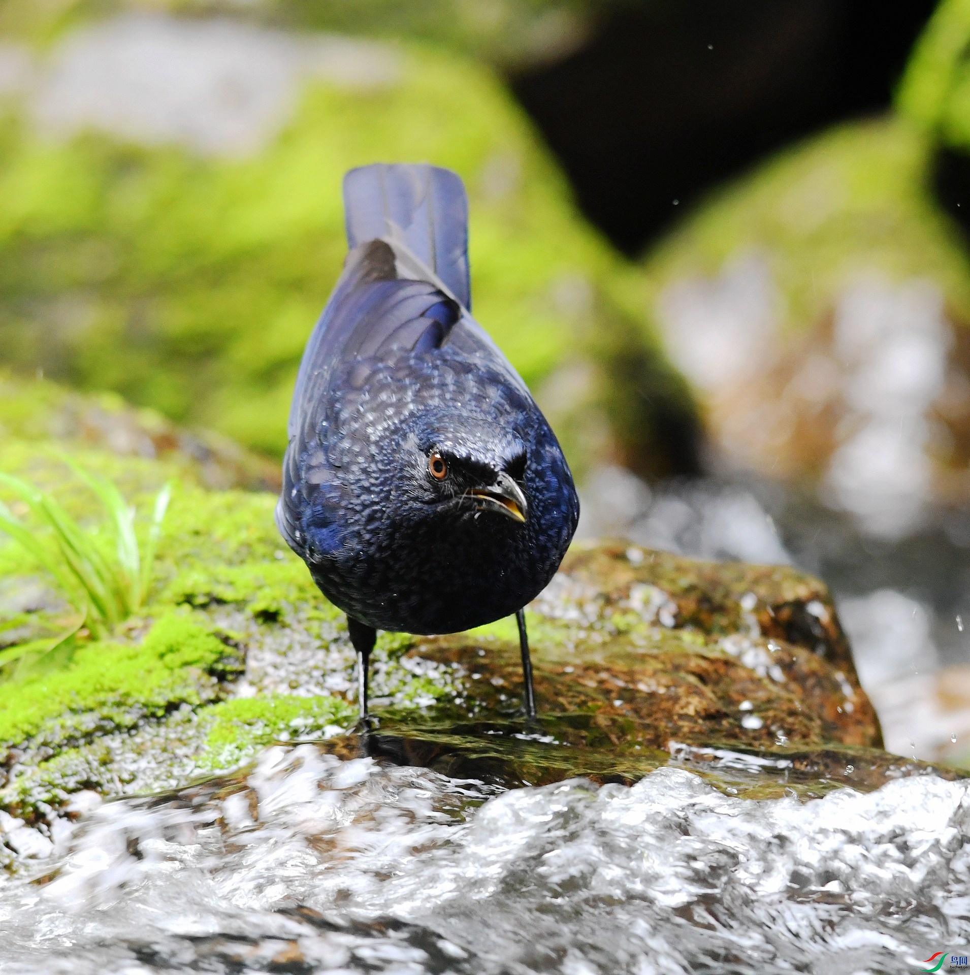 DSC_7852.jpg
