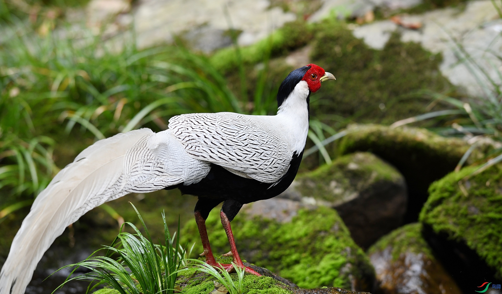 DSC_6434.jpg