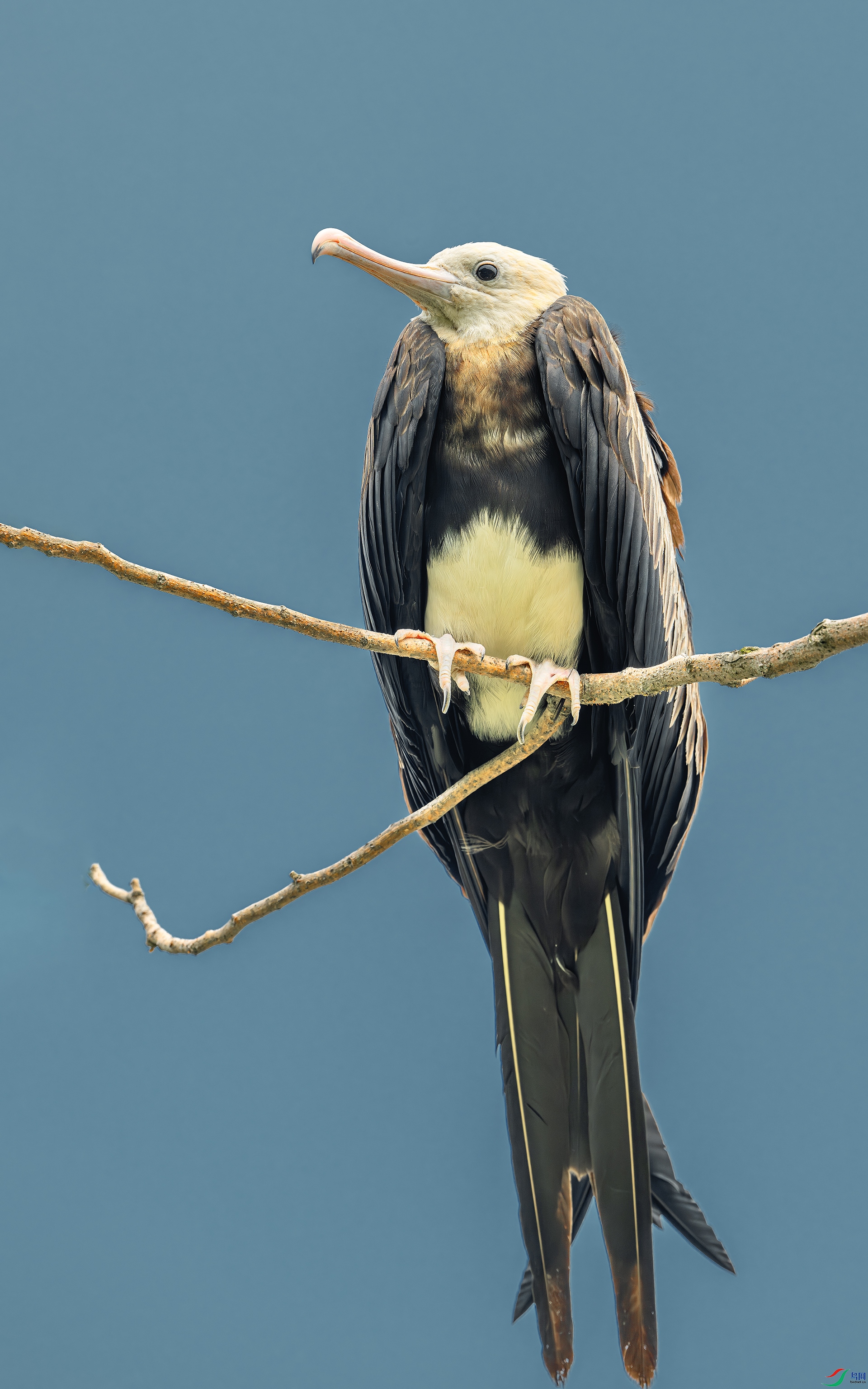 DSC_7606-����ǿ-NR ����.jpg